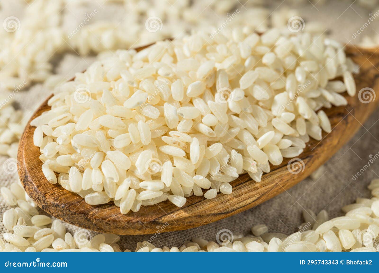 Raw Dry White Arborio Rice stock image. Image of organic 295743343