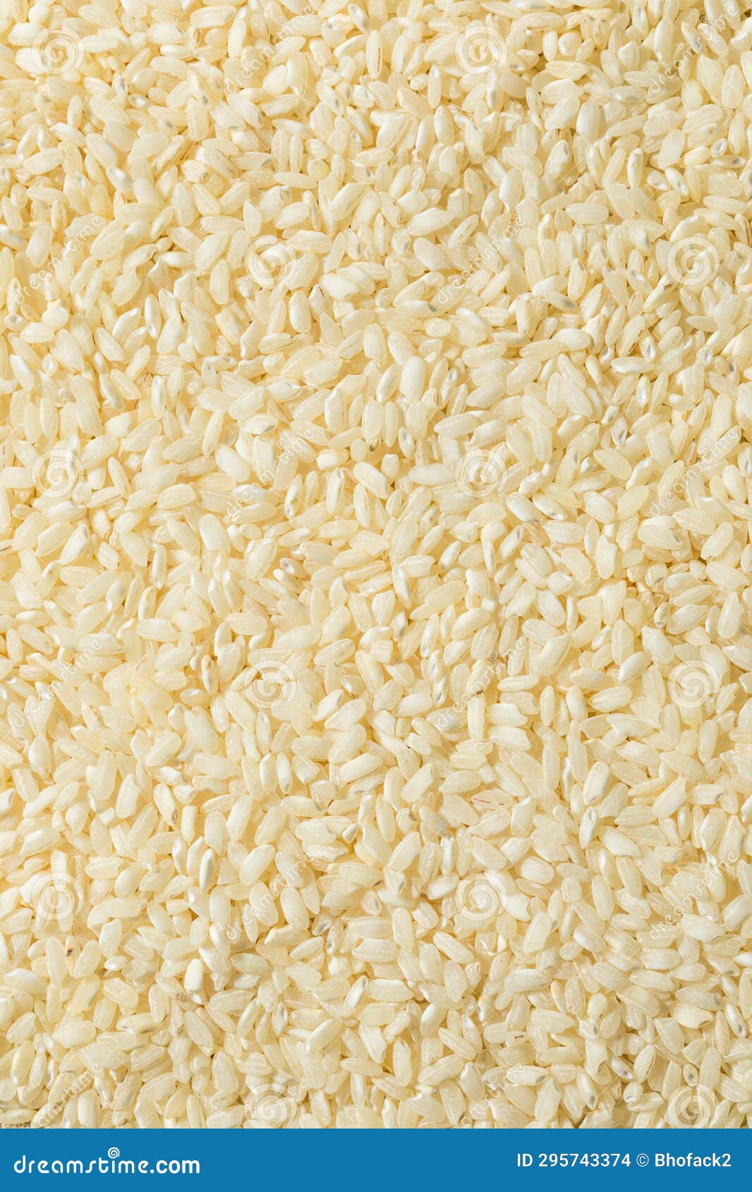 Raw Dry White Arborio Rice stock photo. Image of vegetarian 295743374