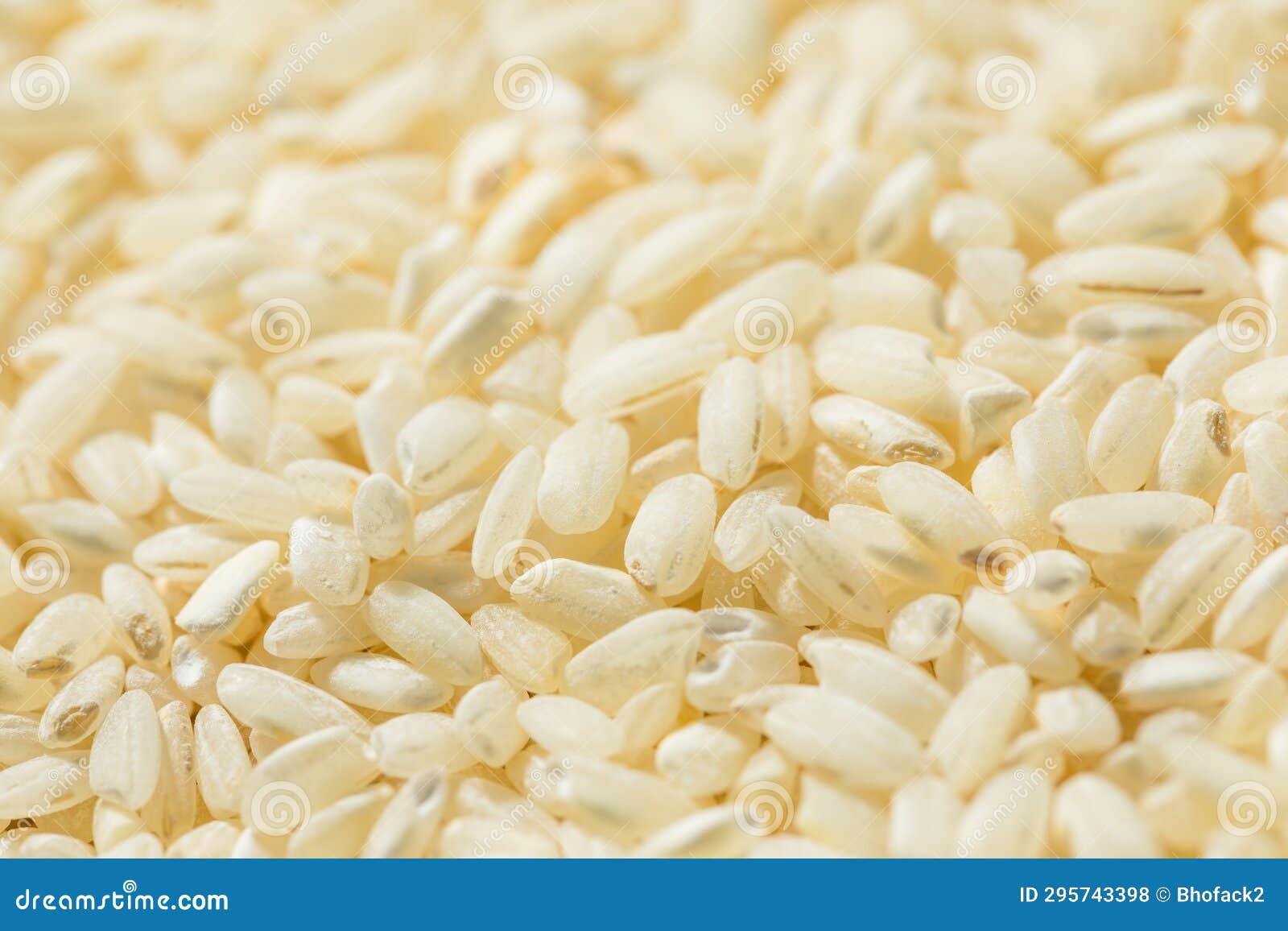Raw Dry White Arborio Rice stock photo. Image of nutrition 295743398