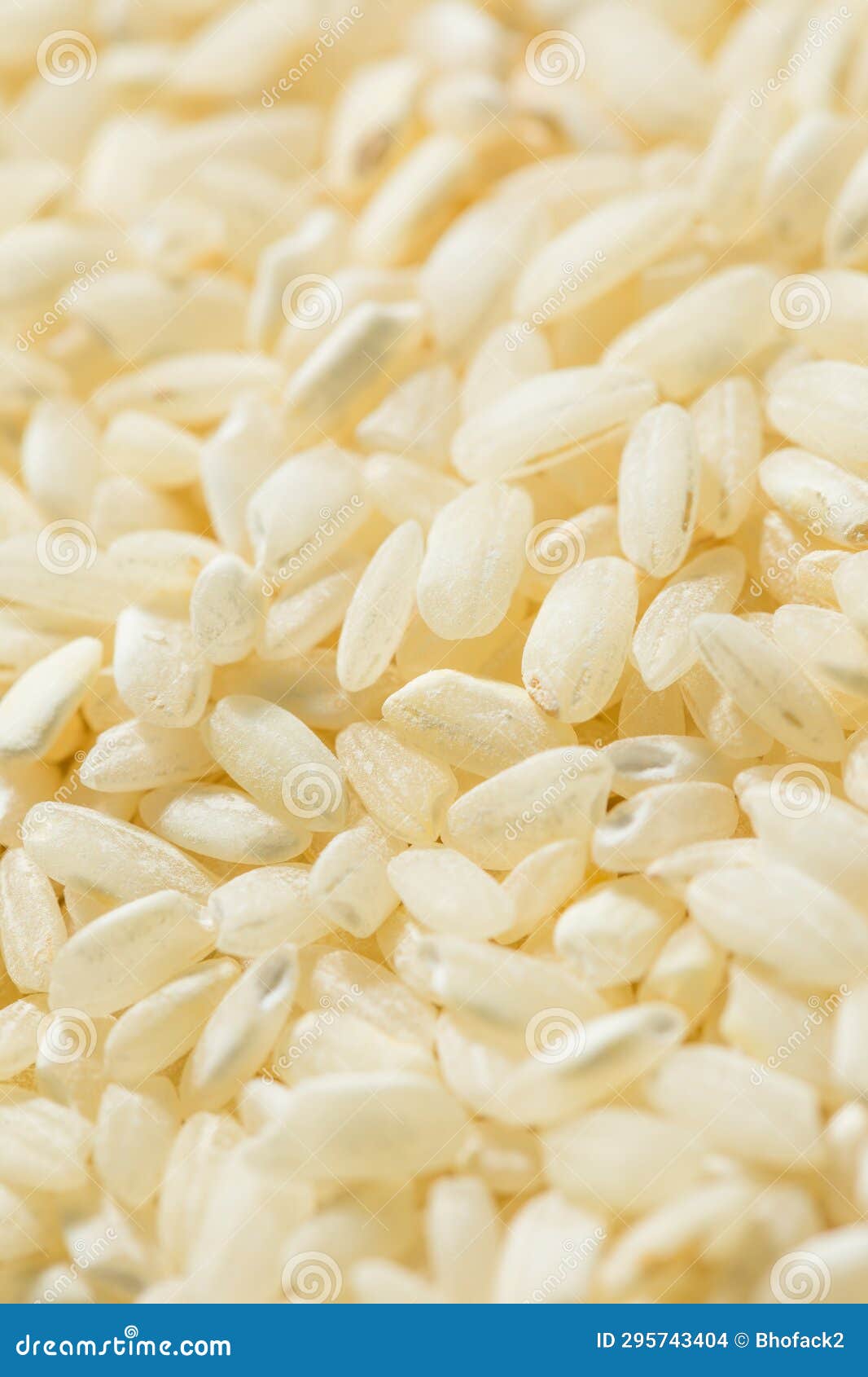 Raw Dry White Arborio Rice stock photo. Image of arborio 295743404