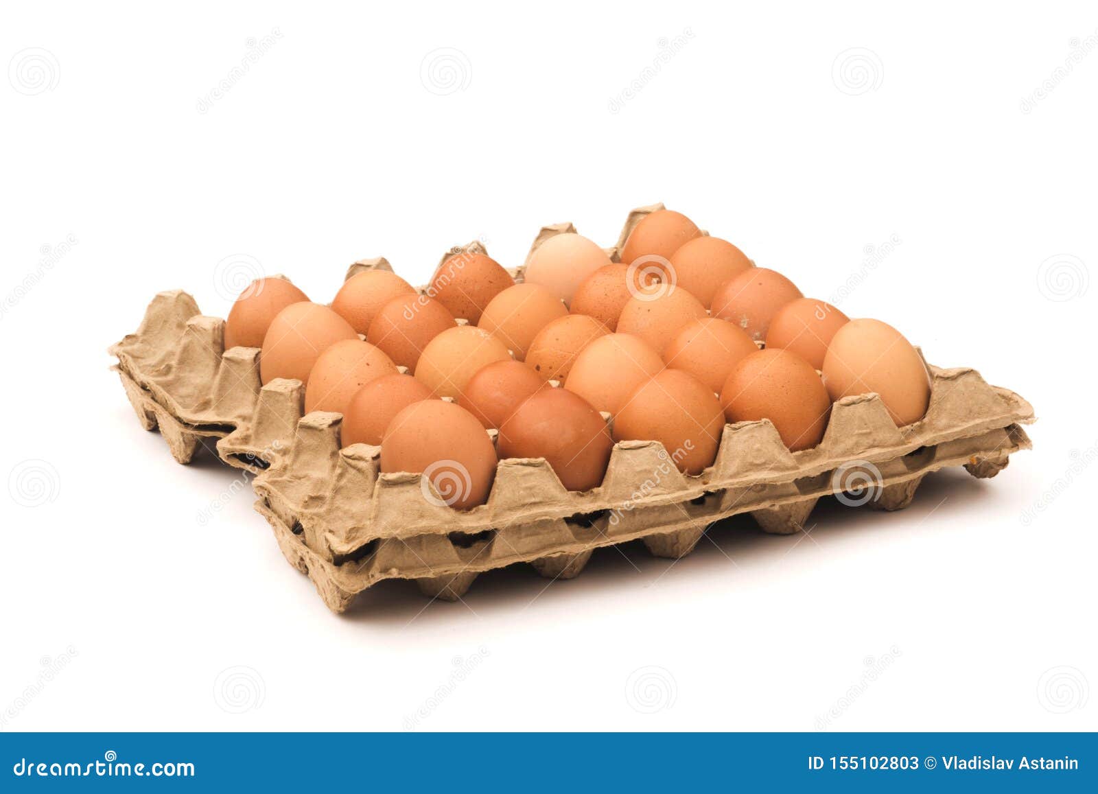 Raw Eggs in Packing on White Background Stock Image Image of