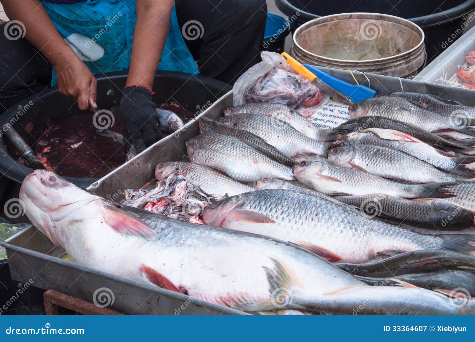 Raw Fish at a Farmer S Market. Stock Image Image of catering
