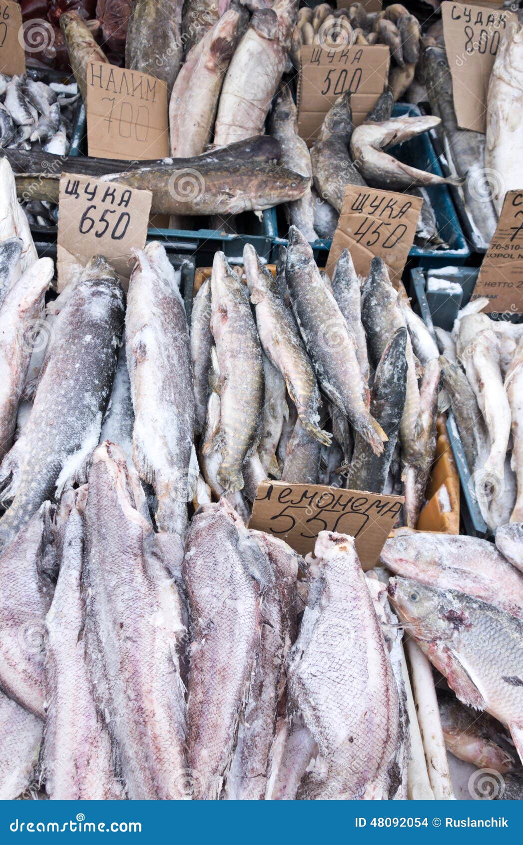 Raw fish stock photo. Image of restaurant, fishing, demand 48092054