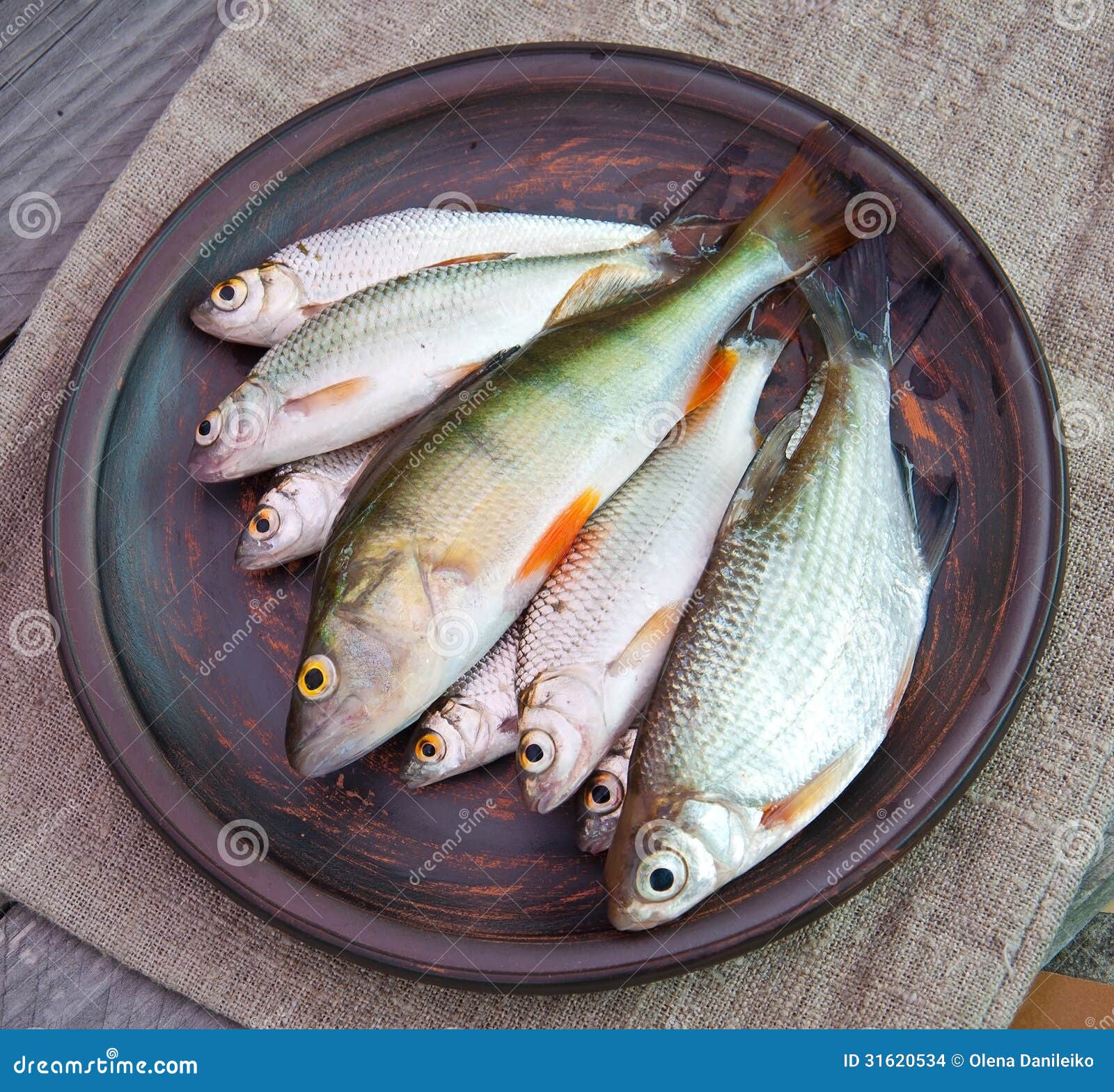 Можно давать курам рыбу. Сырая рыба. Рыба в миске. Курукуру рыба. Рыба сырая фото.