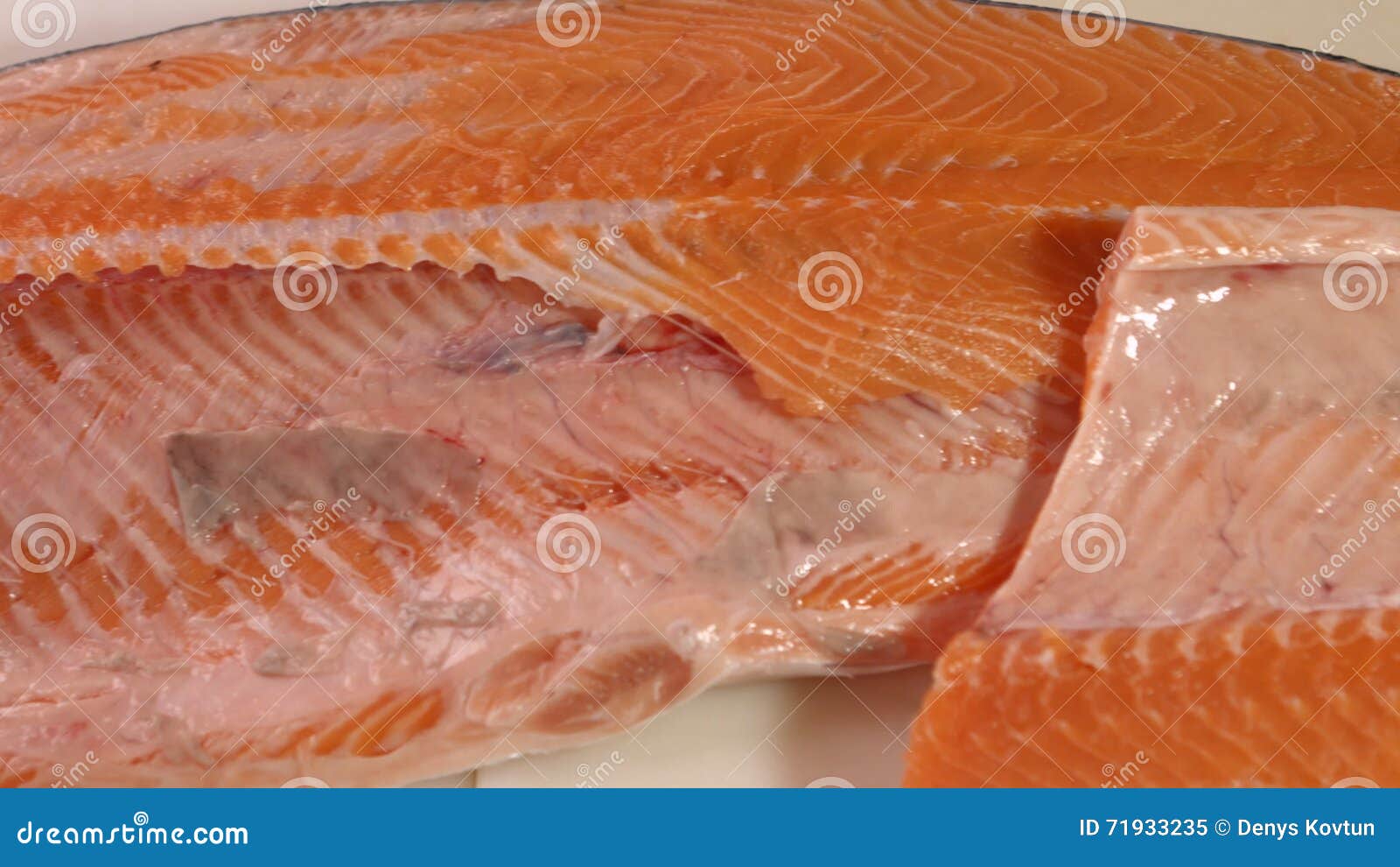 Raw fish with red meat. stock video. Video of animal - 71933235