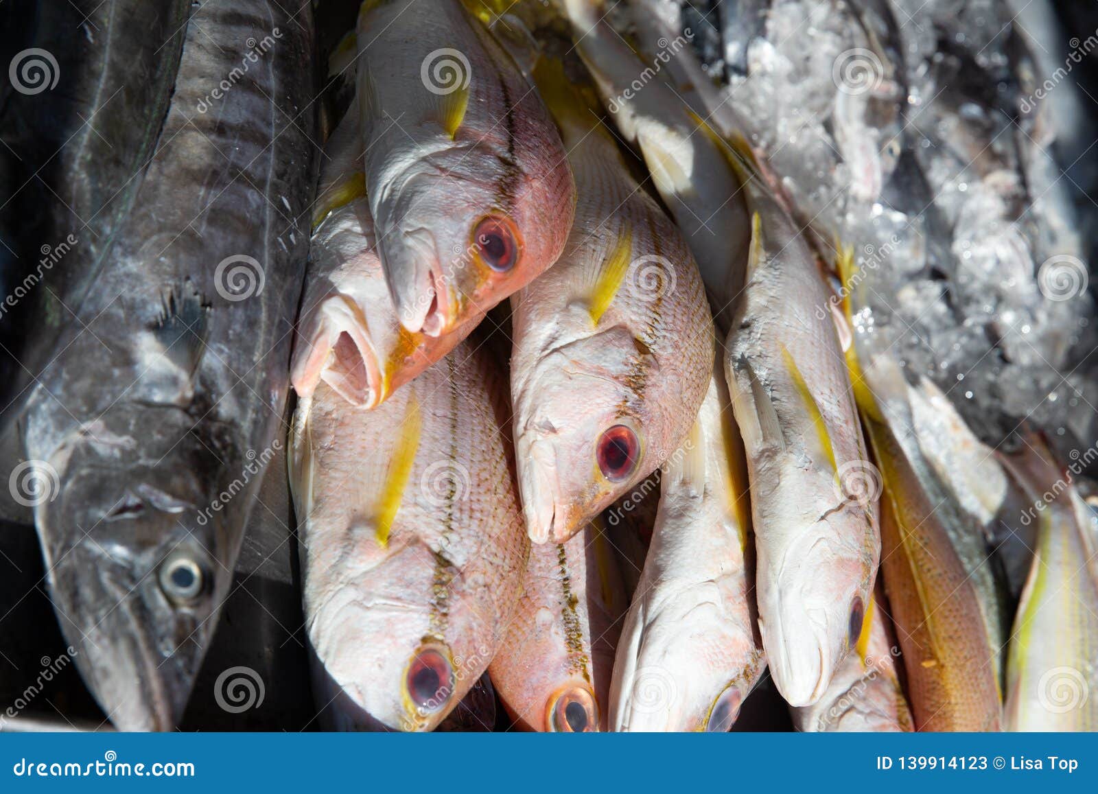 Raw fish for sale stock image. Image of southeast, stall 139914123