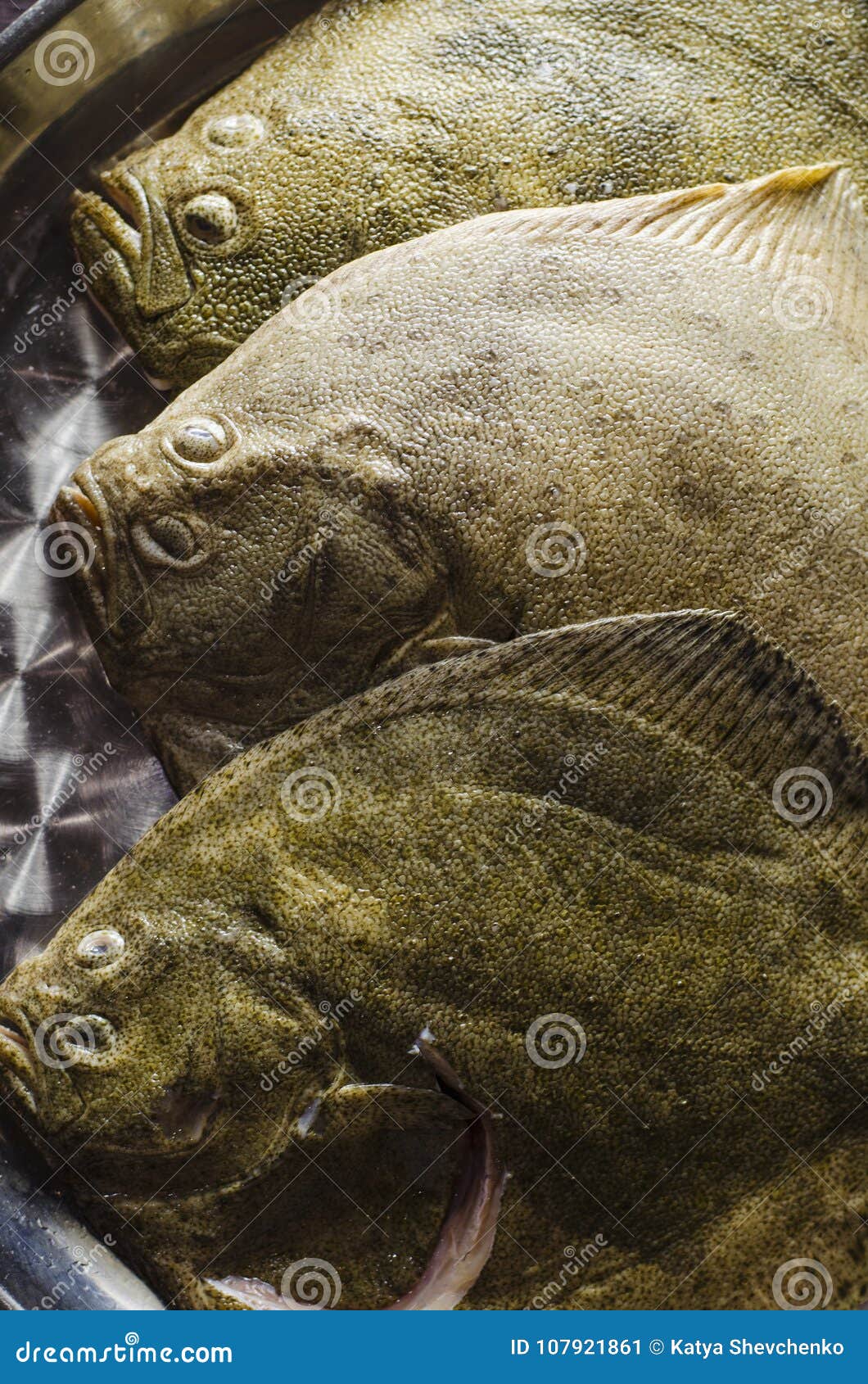 Raw flounder fish stock image. Image of plaice, cooking 107921861