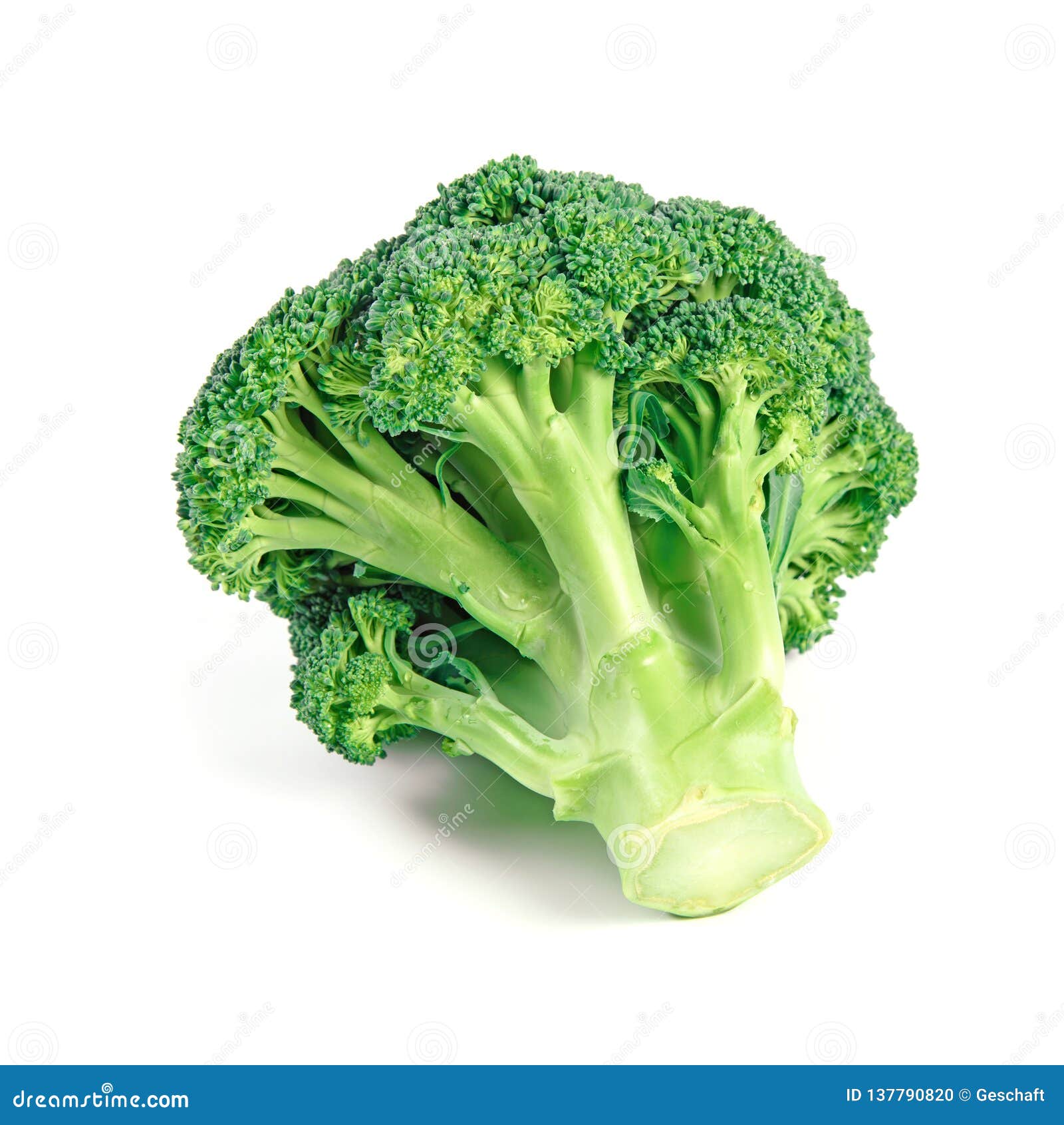 raw fresh broccoli as healphy food  on white