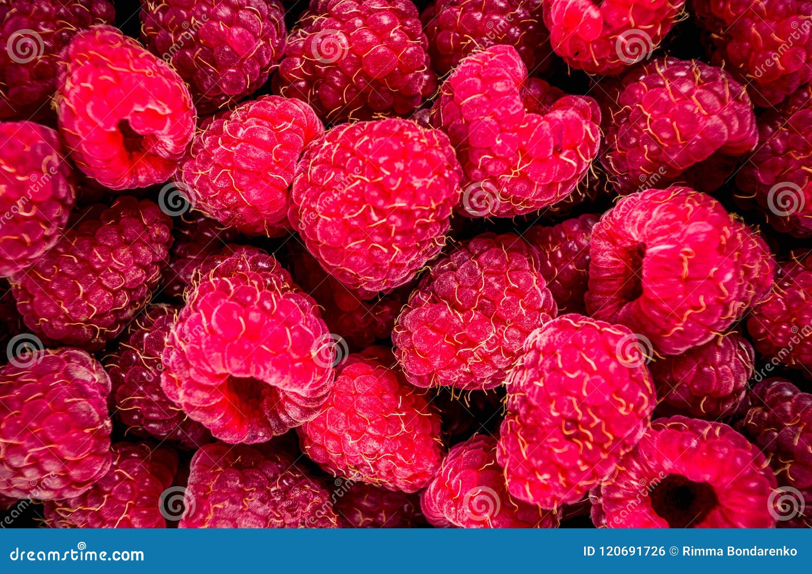 Raw fresh raspberry stock photo. Image of harvest, frozen 120691726