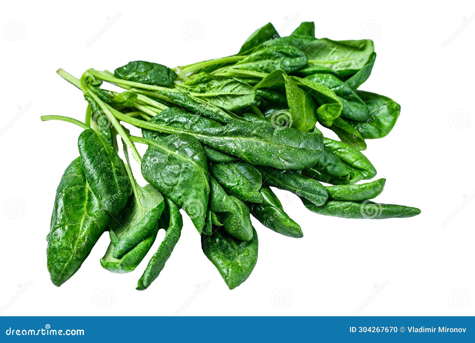 raw fresh spinach leaves  on white background, top view.