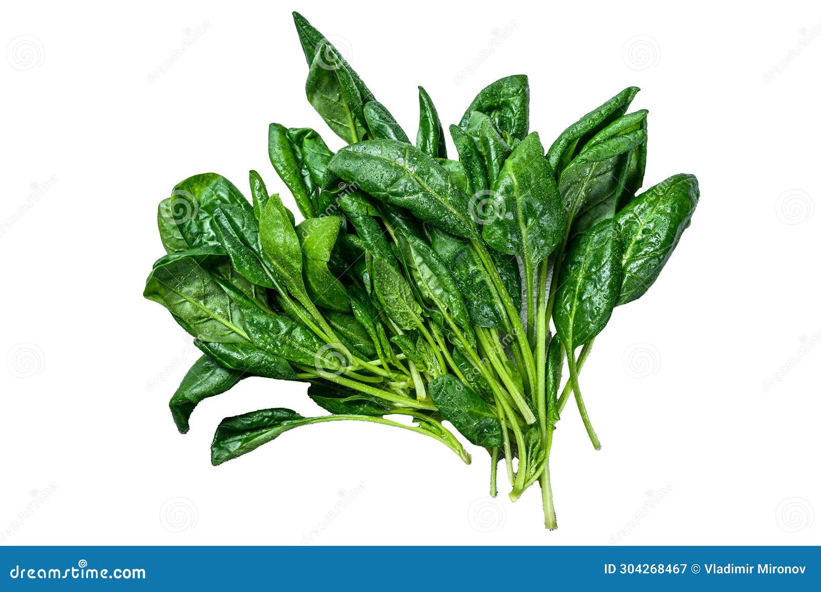 raw fresh spinach leaves  on white background, top view.