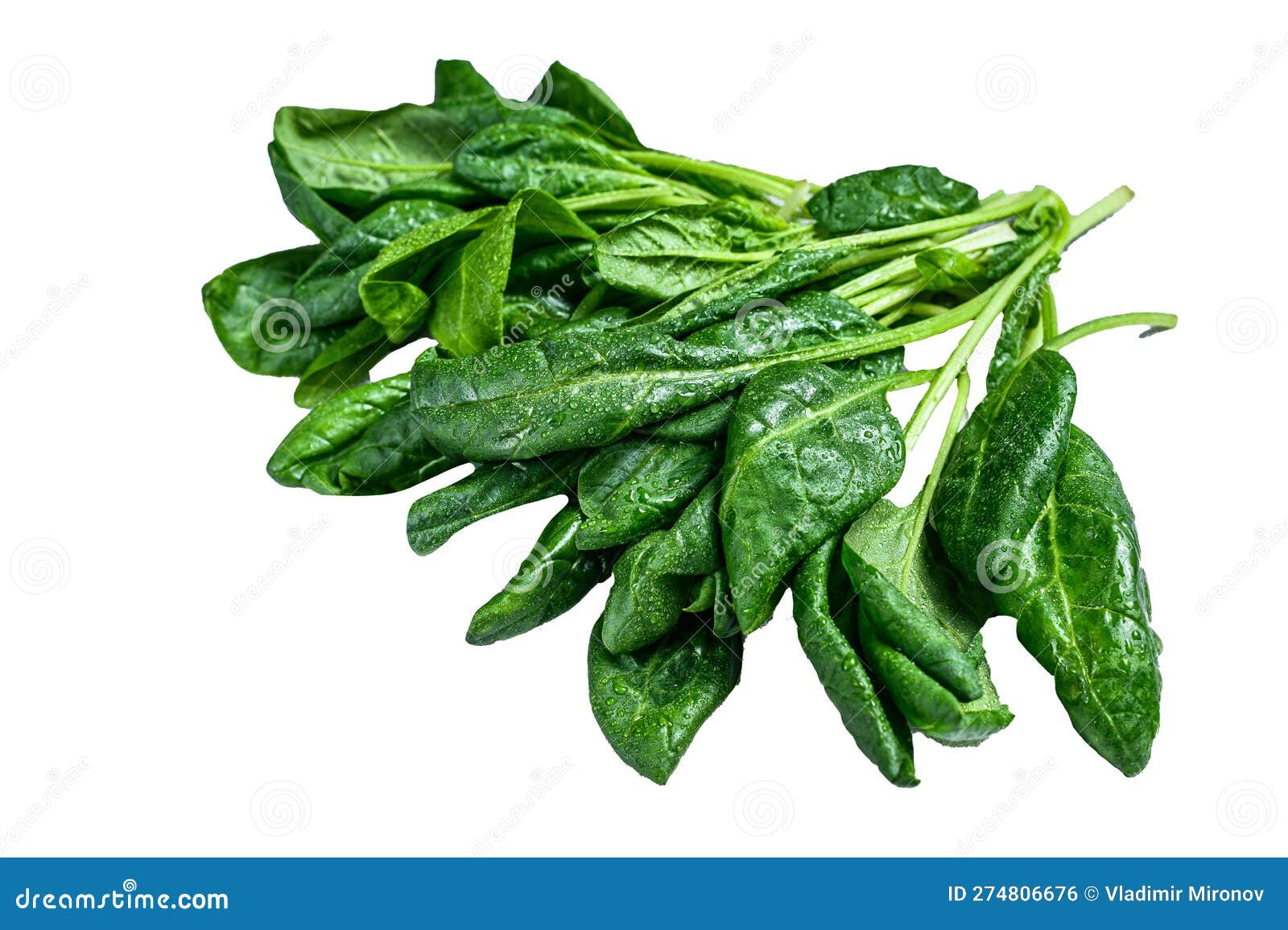 raw fresh spinach leaves on a stone table.  on white background.