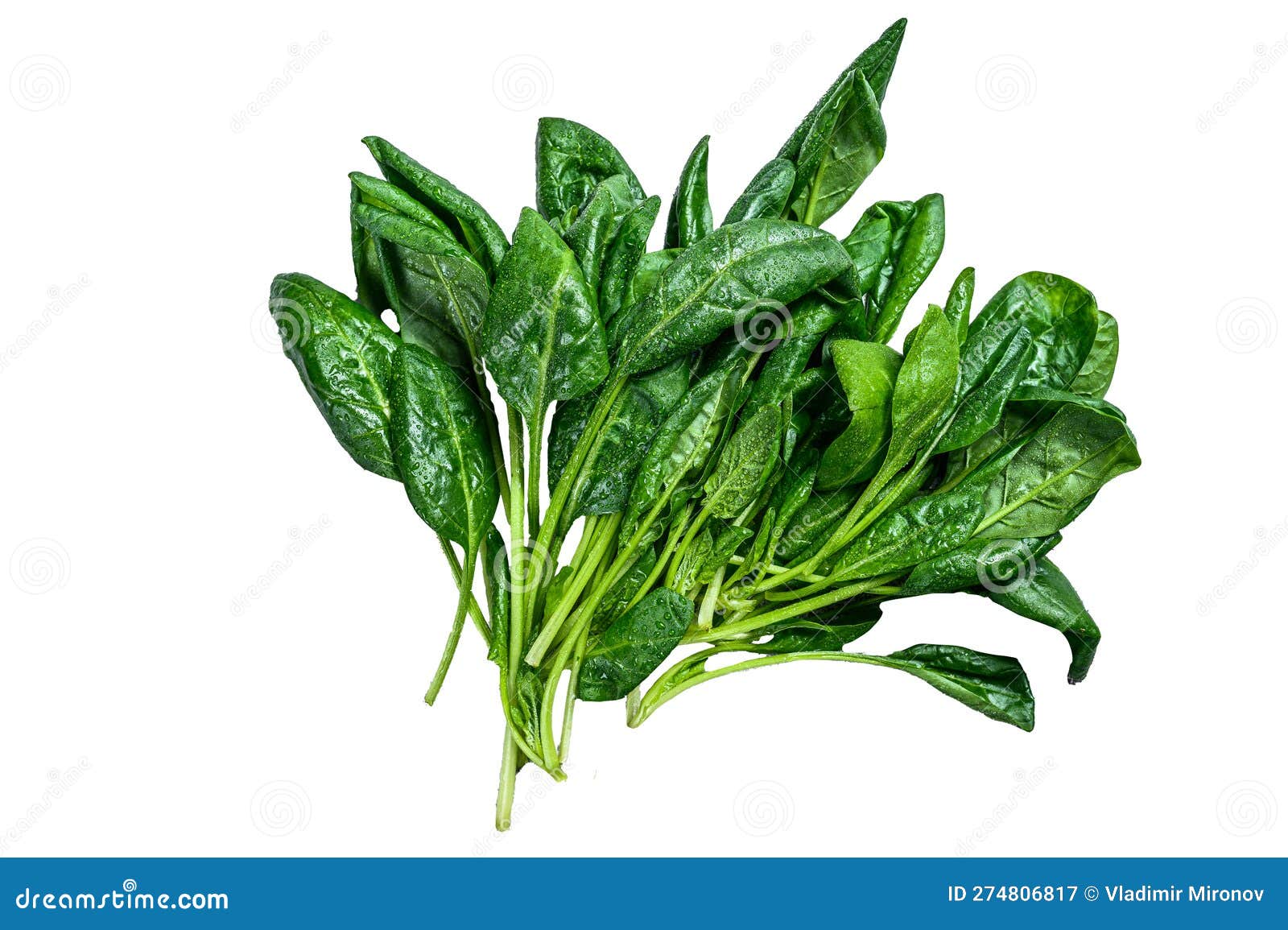 raw fresh spinach leaves on a stone table.  on white background.