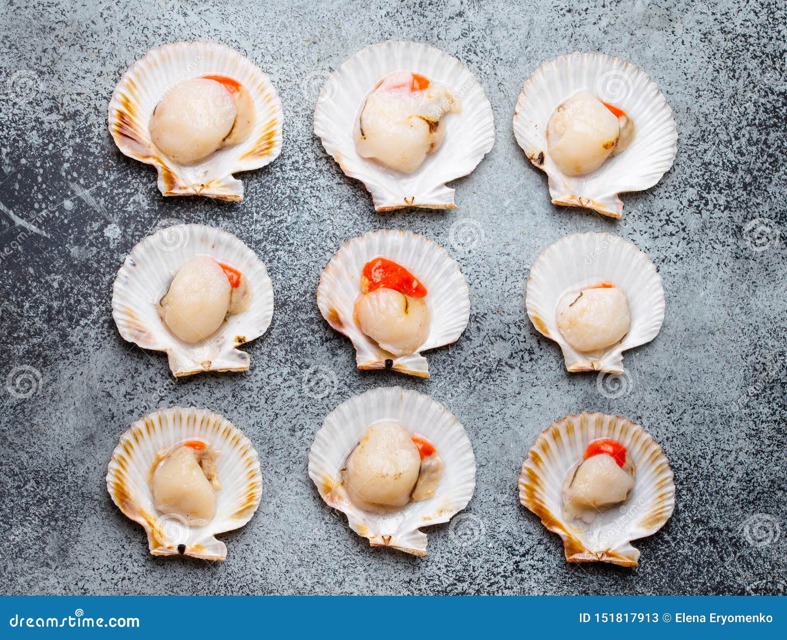 Raw Fresh Uncooked Scallops Stock Image Image of mollusk, background