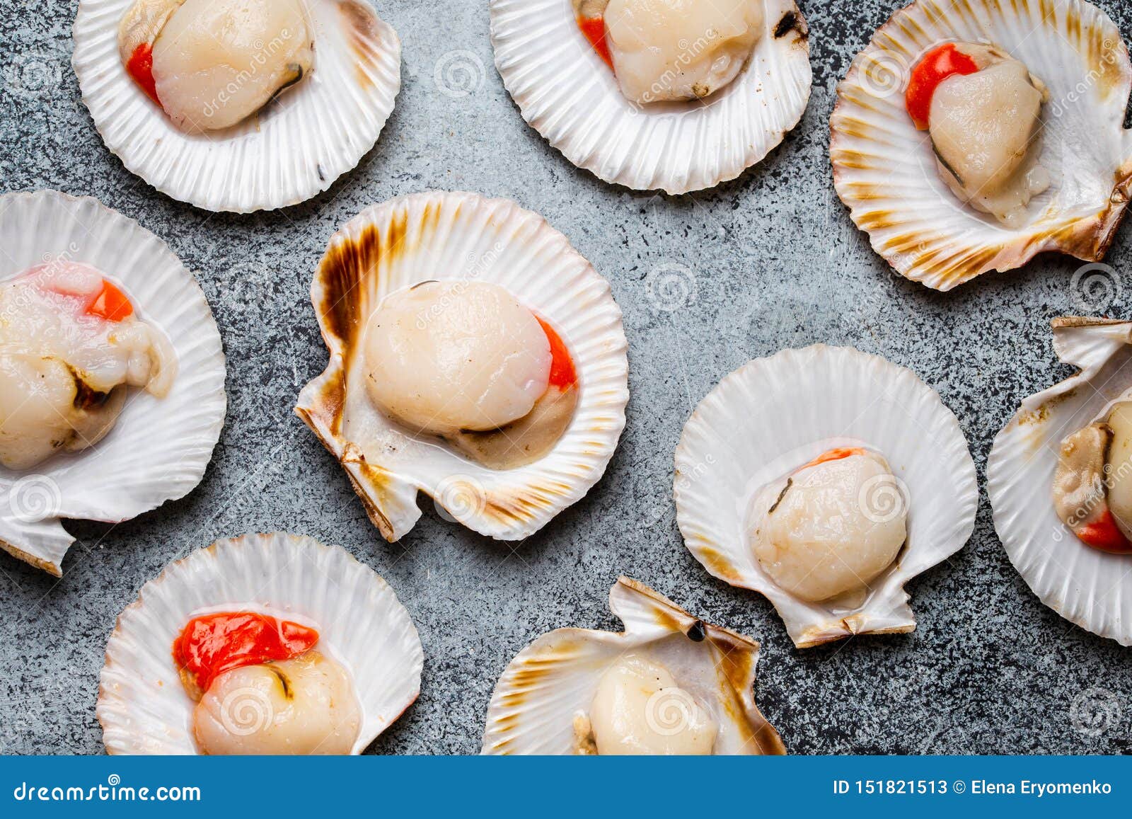 Raw Fresh Uncooked Scallops Stock Image Image of seafood, cooking