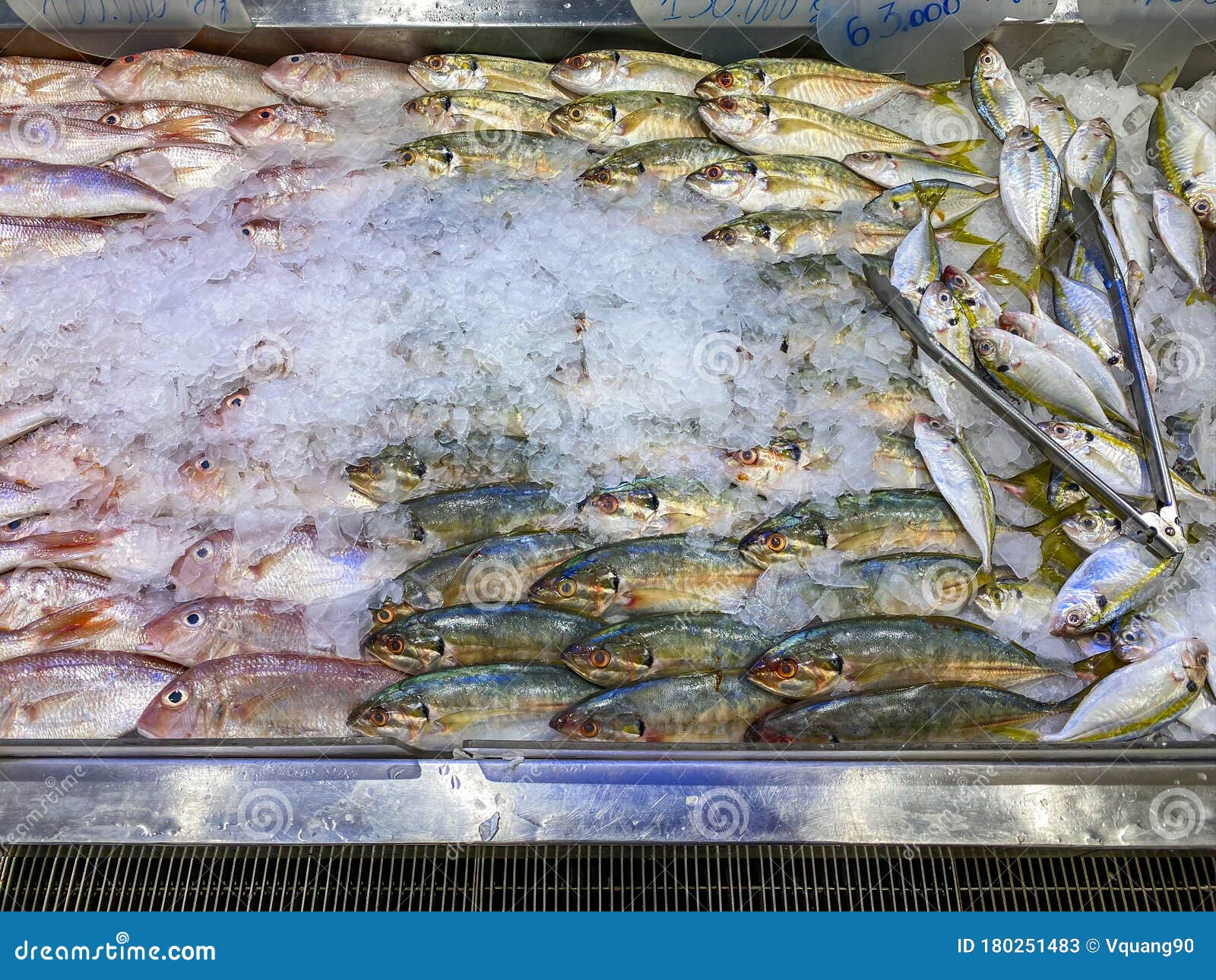 frozen fish food for sale