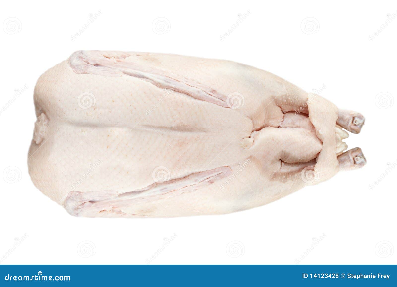 Raw Goose stock photo. Image of baking, plucked, flesh 14123428