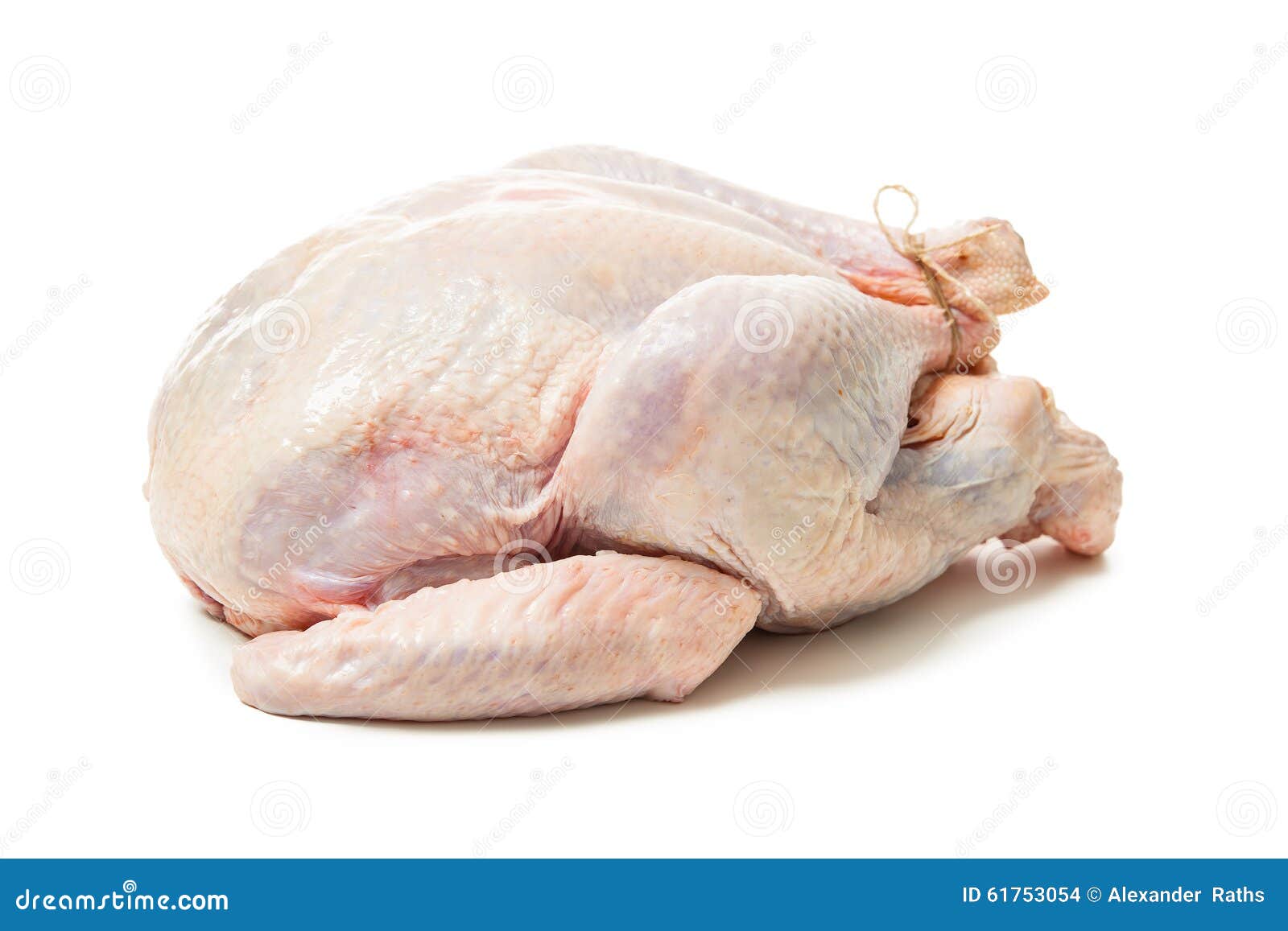 Raw goose stock photo. Image of season, meal, isolated 61753054
