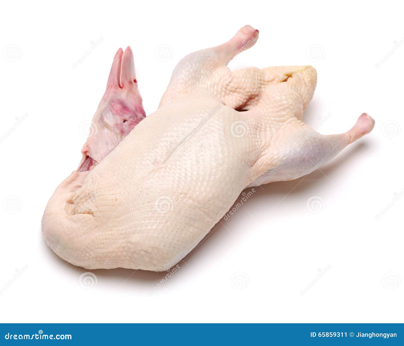 Raw goose stock image. Image of roasting, copy, bunch 65859311