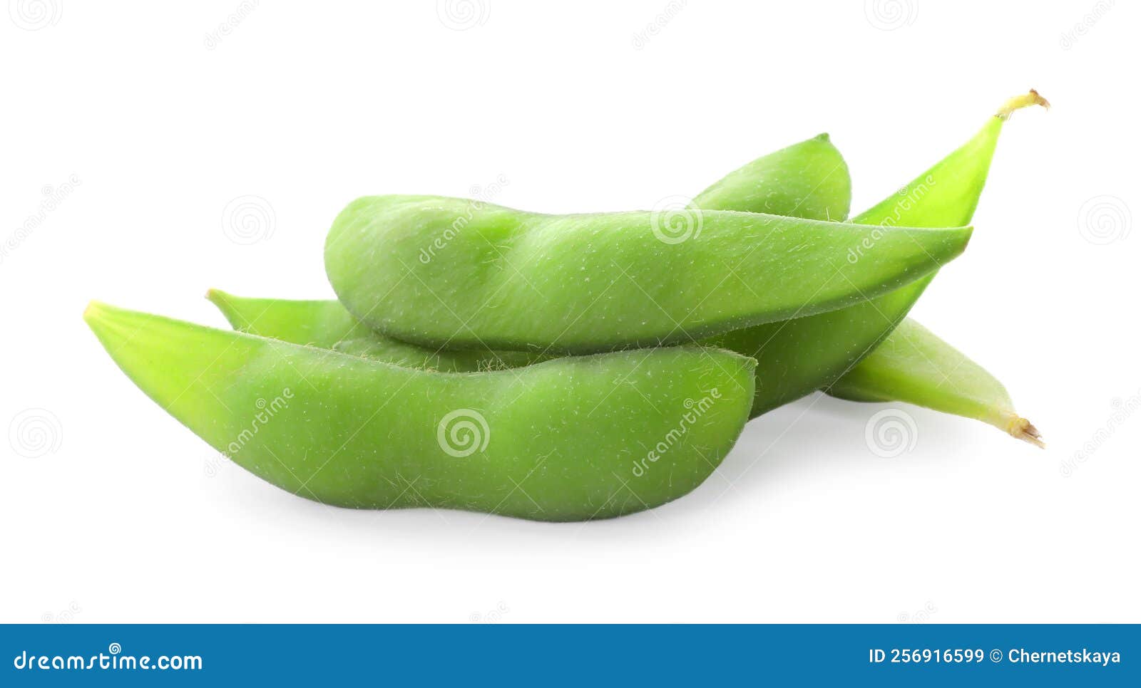 Raw Green Edamame Pods on White Background Stock Image Image of dish