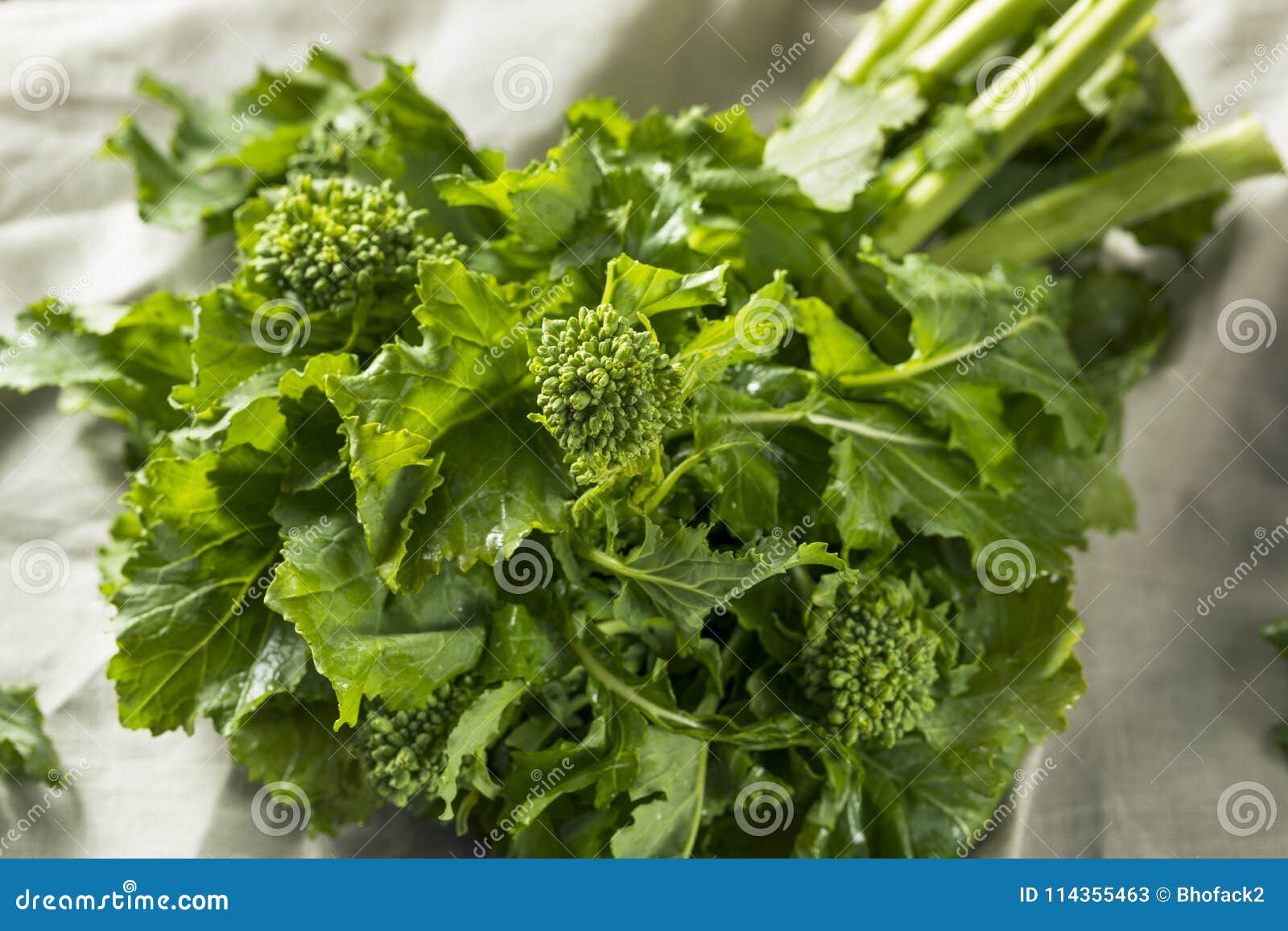 raw green organic broccoli rabe