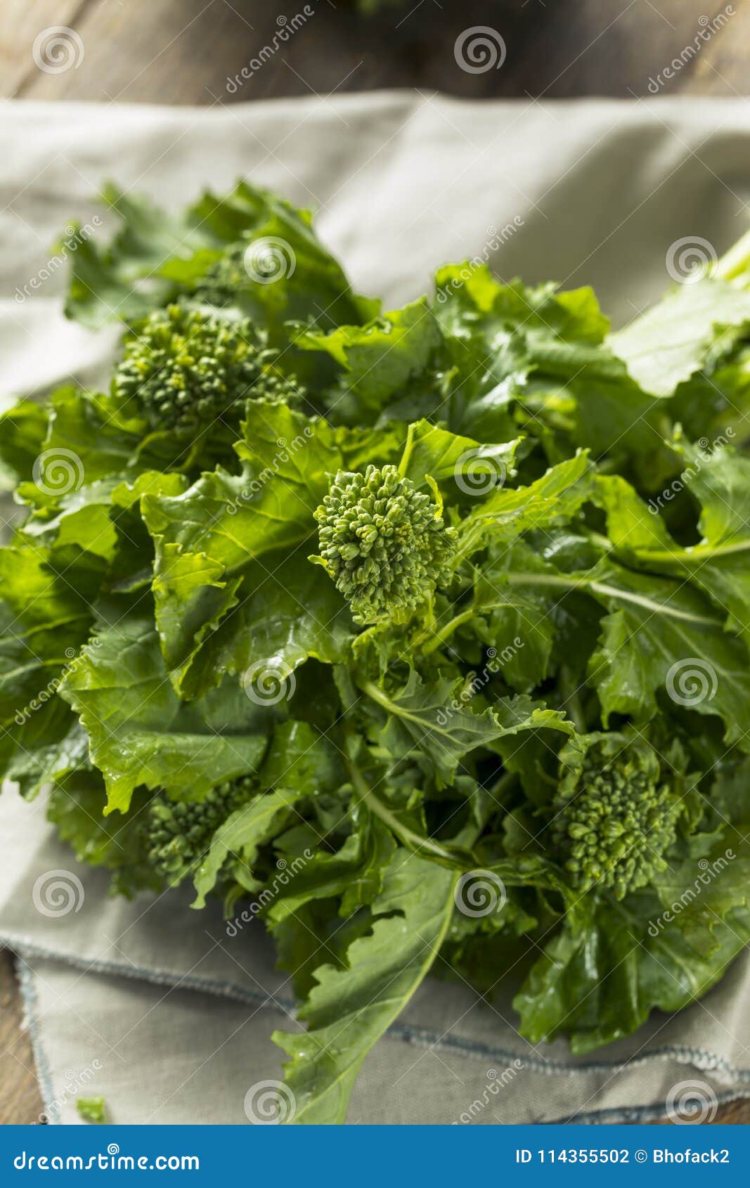 Raw Green Organic Broccoli Rabe Stock Photo Image of healthy, rabe