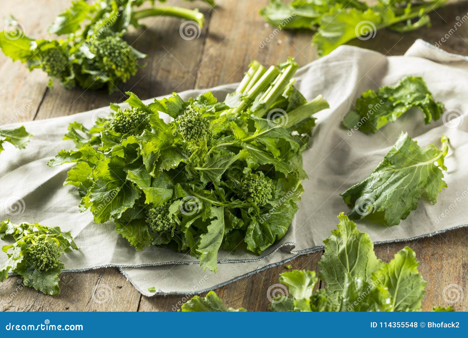 Raw Green Organic Broccoli Rabe Stock Photo Image of rappini, green