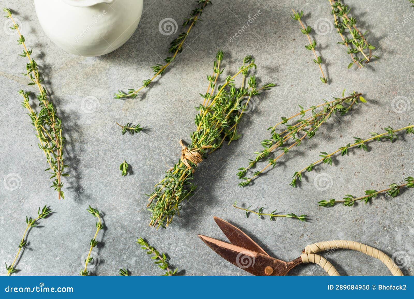 Raw Green Organic Fresh Thyme Stock Photo Image of thyme, green 289084950