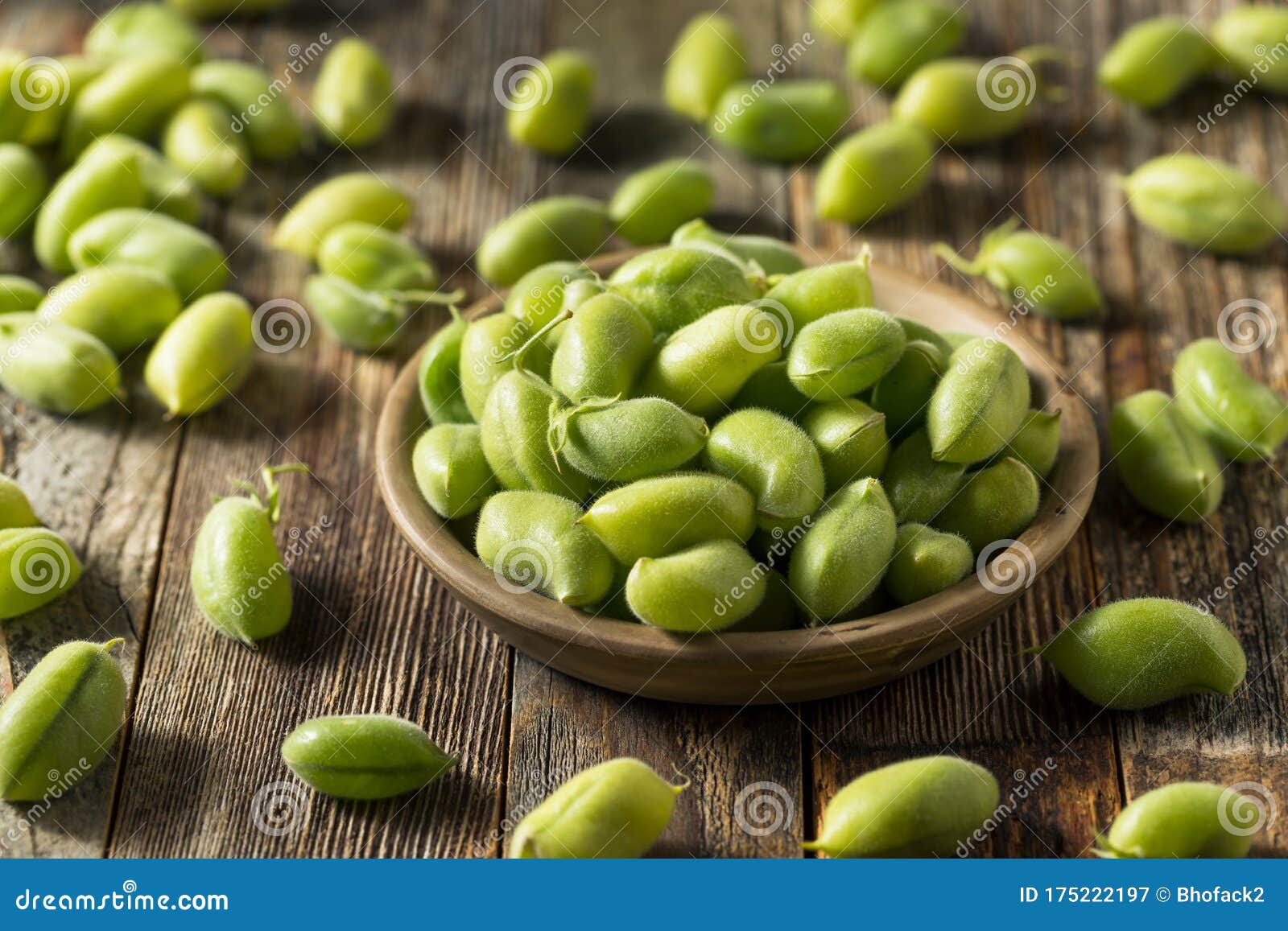 Raw Green Organic Garbanzo Beans Stock Image - Image of diet, legume ...