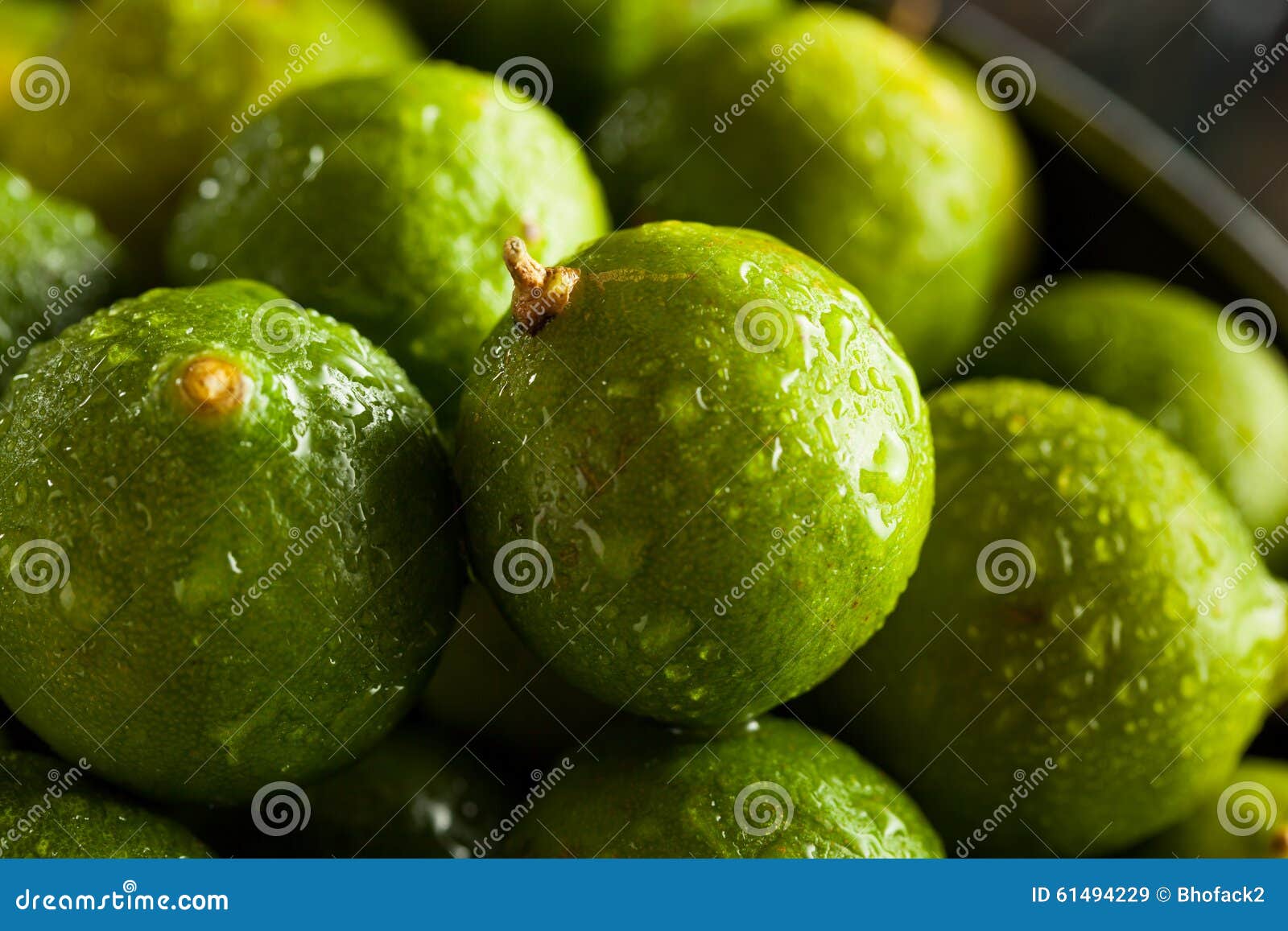 Raw Green Organic Key Limes Stock Image Image of limon, florida 61494229