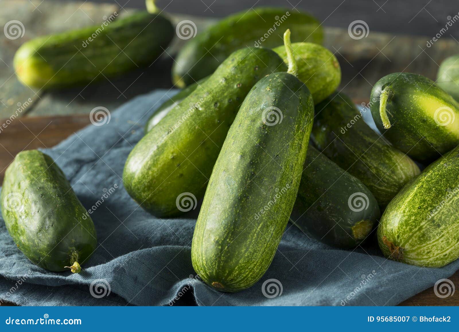 Raw Green Organic PIckle Cucumbers Stock Image Image of vitamins