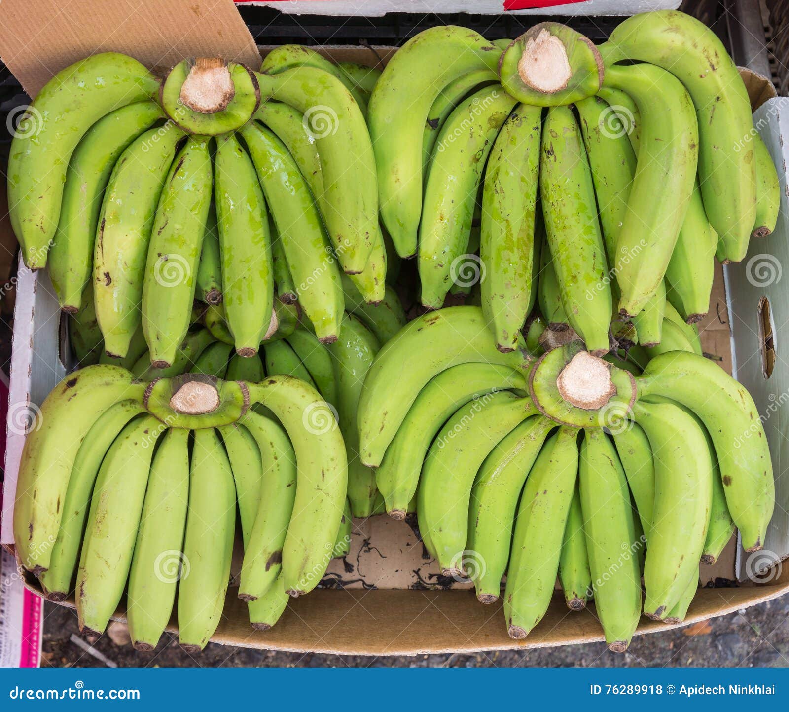 Raw Gros Michel Banana in Paper Box for Sale in Thailand Market Stock