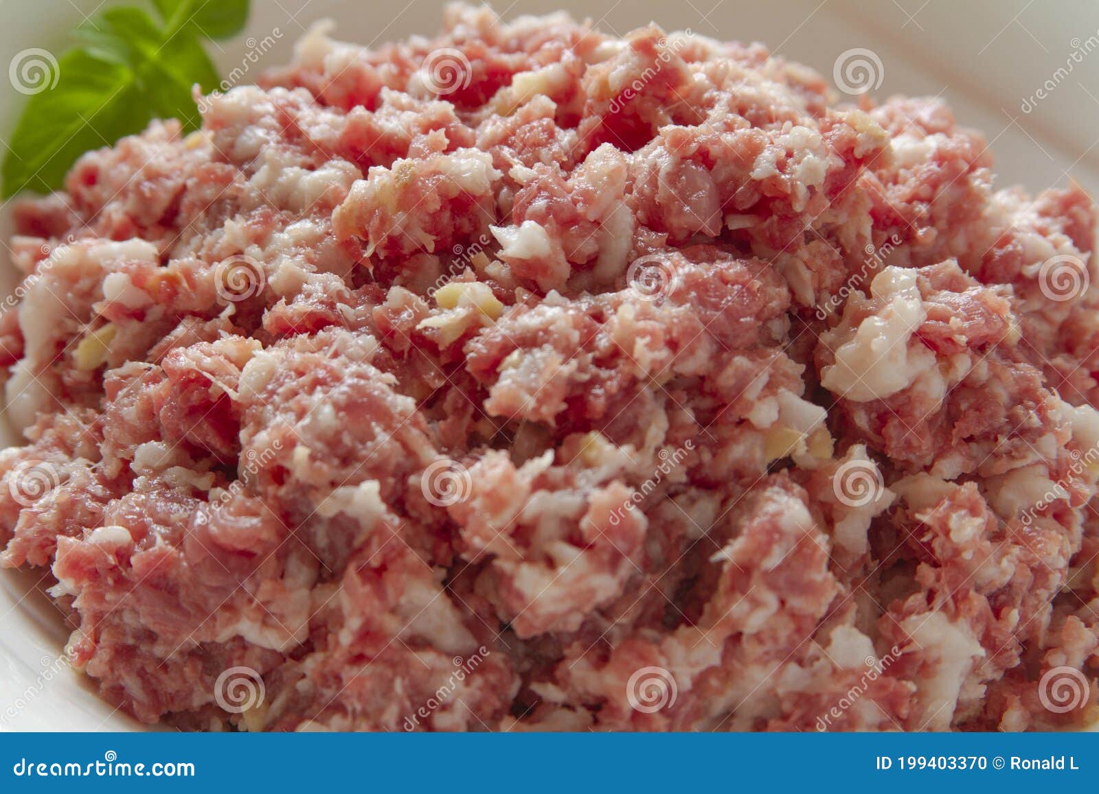 Raw ground pork meat stock photo. Image of forest, farm 199403370
