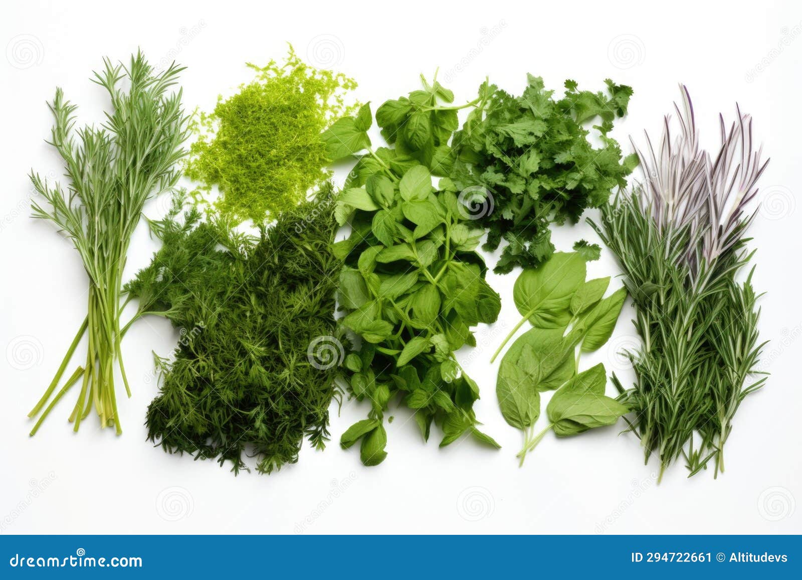 Raw Herbs Spread Out on a White Background Stock Image Image of