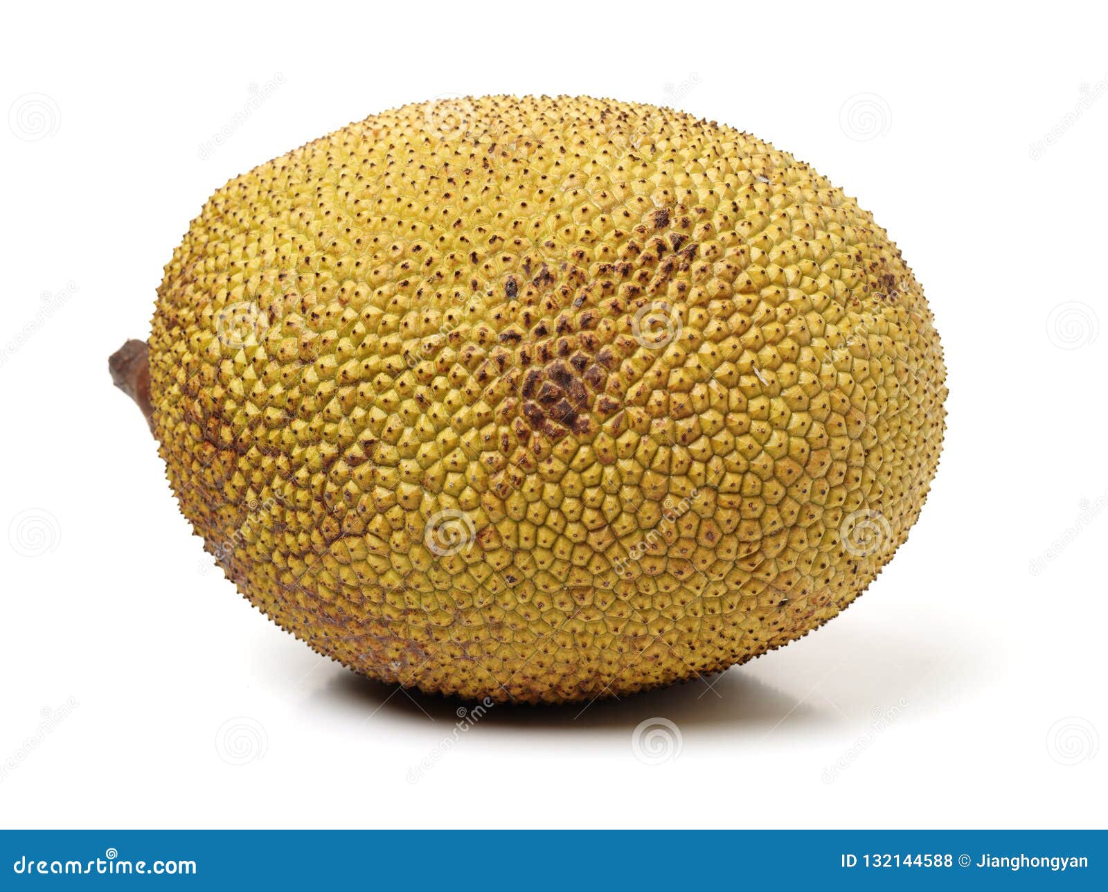 Raw jackfruit stock photo. Image of healthy, ingredient 132144588