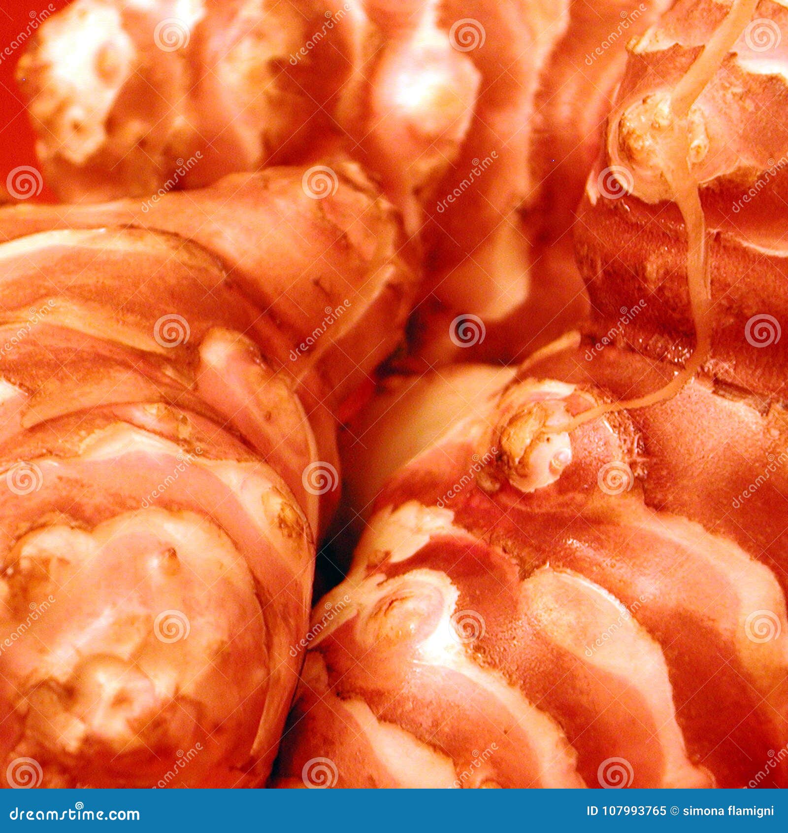 Jerusalem Artichokes Closeup Stock Image Image of root, vegetarian