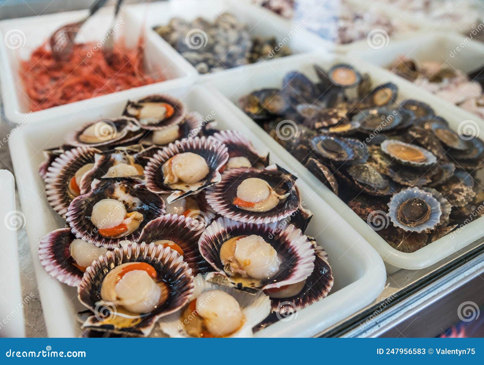 raw `lapas` or true limpets - traditional seafood of tenerife and madeira islands