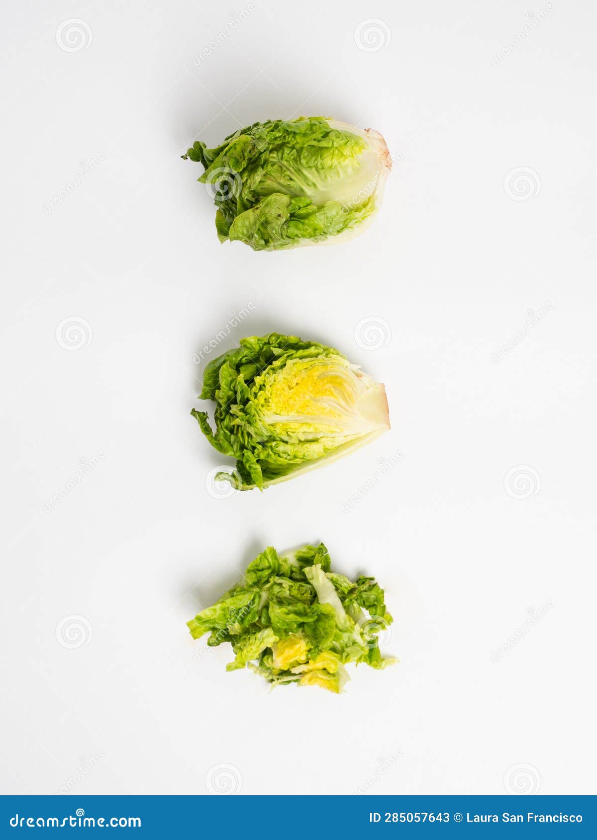 Raw Lettuce Isolated on White Stock Image Image of vegan, based