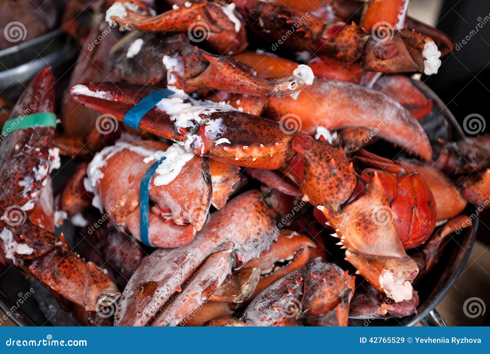 Raw lobster claws in bow stock image. Image of expensive 42765529