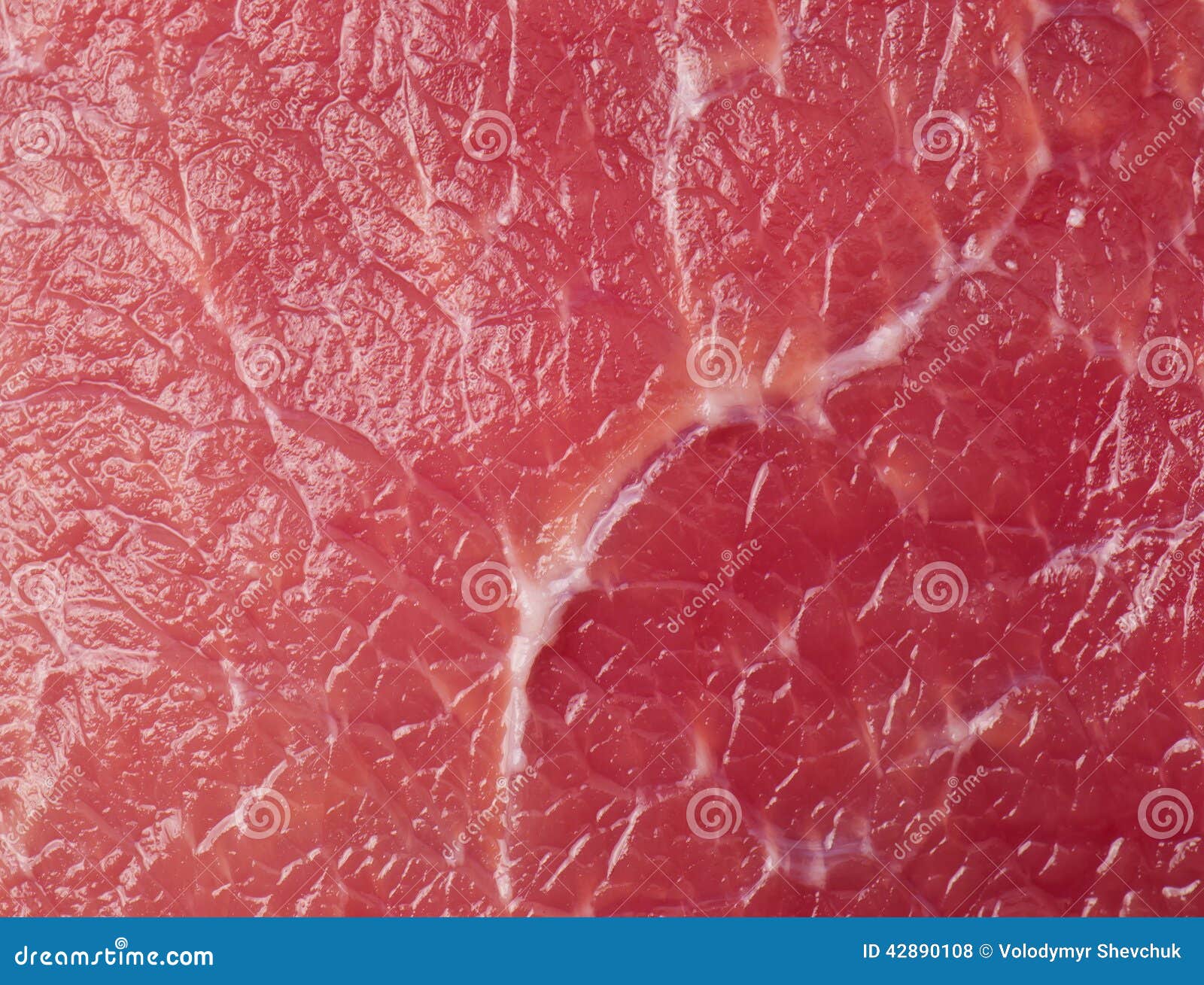 Raw meat texture stock photo. Image of bone, steaks, muscle 42890108