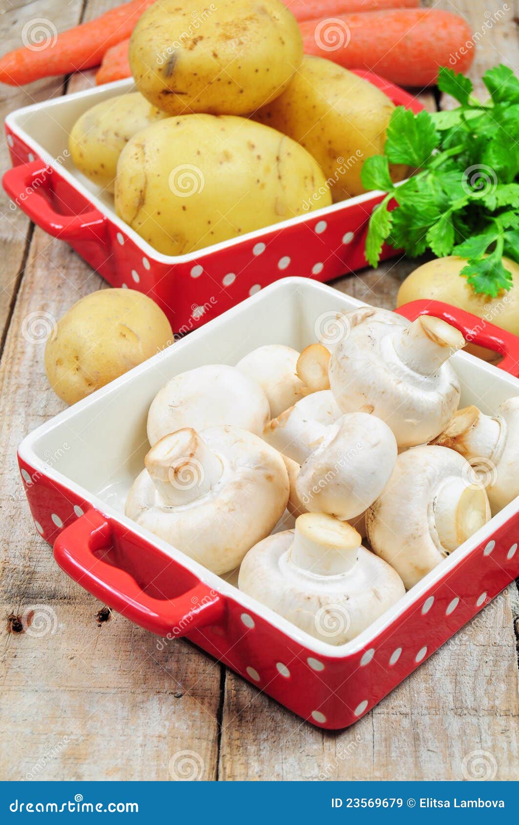Raw mushrooms and potatoes stock image. Image of organic 23569679