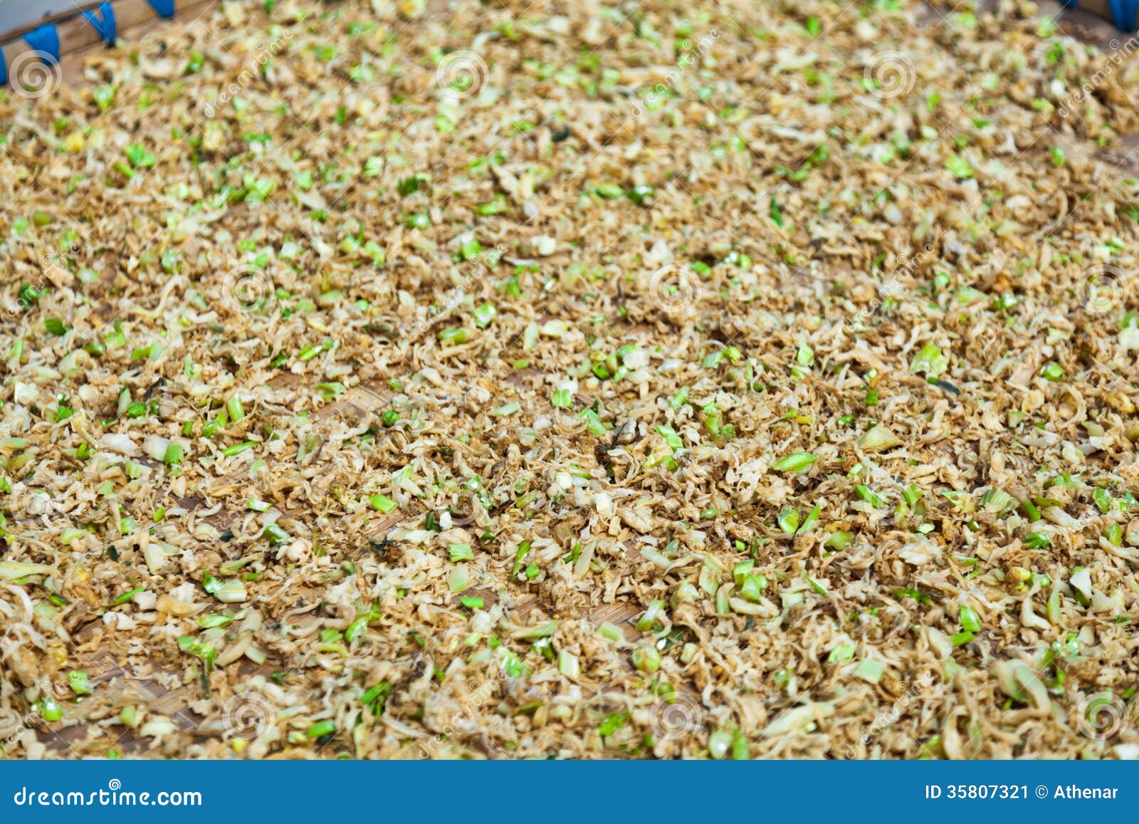 Raw Mustard Tuber in Sunlight Stock Image Image of nature, east 35807321