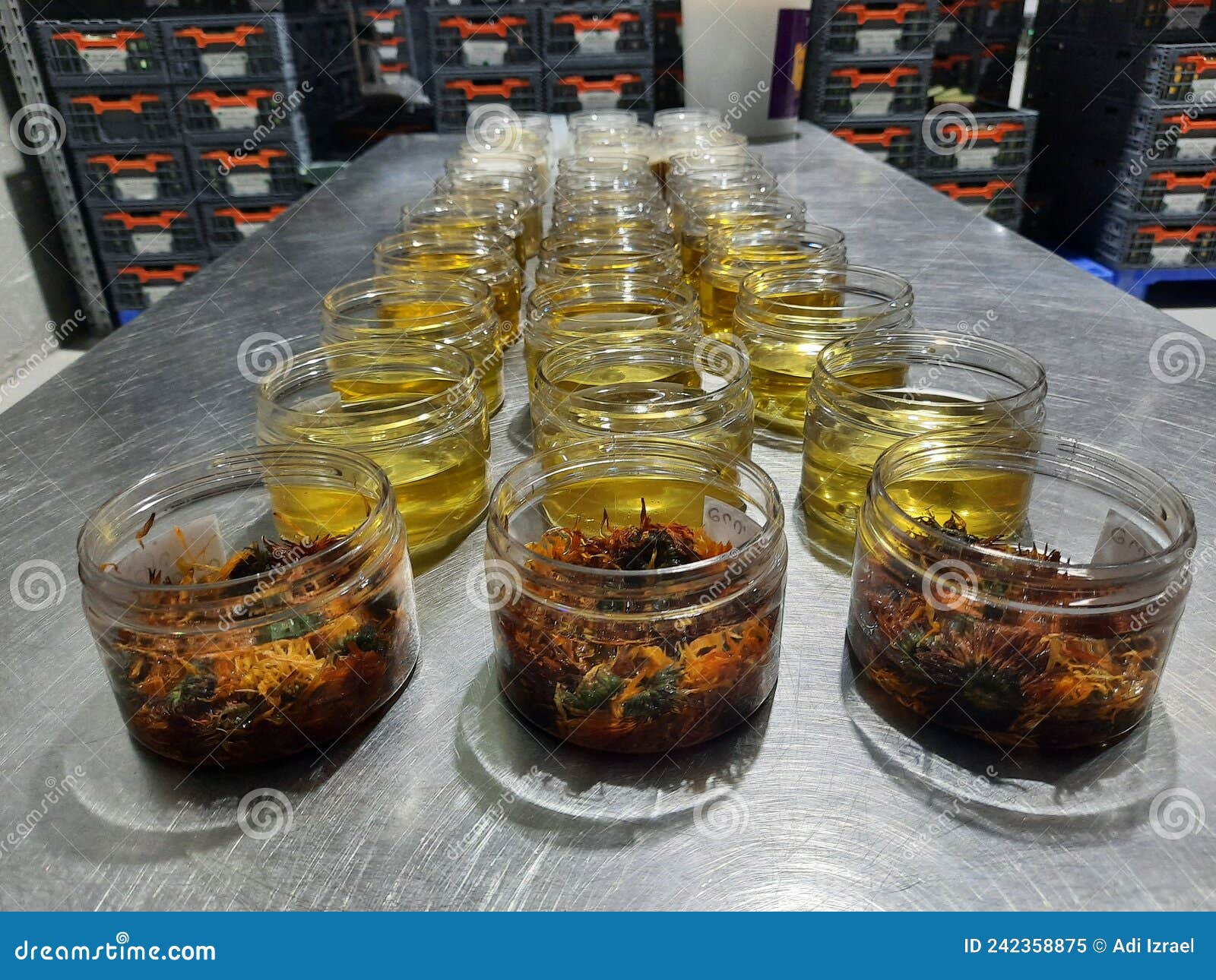 Raw Natural Materials for Natural Cosmetics Stock Image Image of