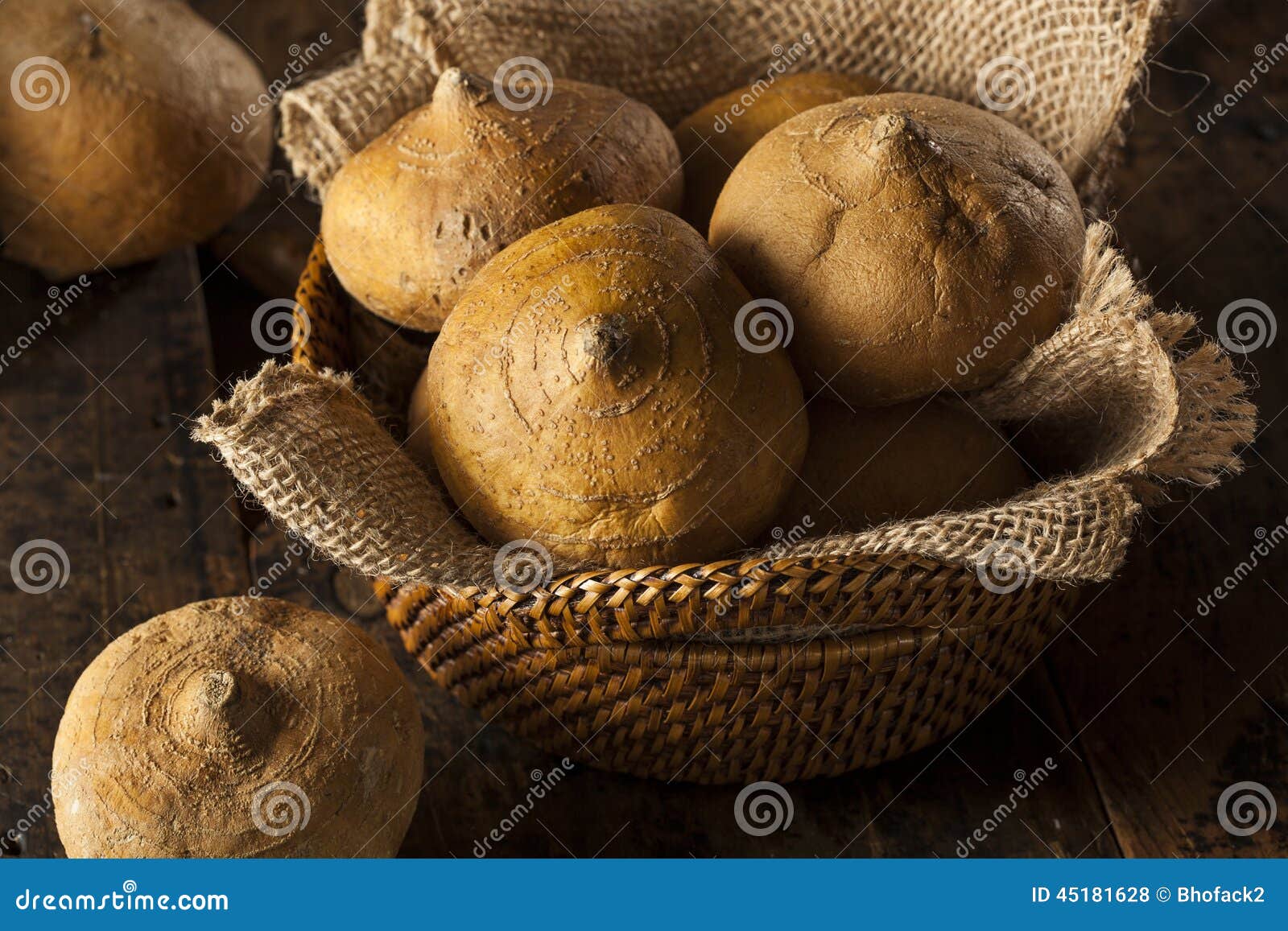 Raw Organic Brown Jicama stock photo. Image of vegetarian 45181628