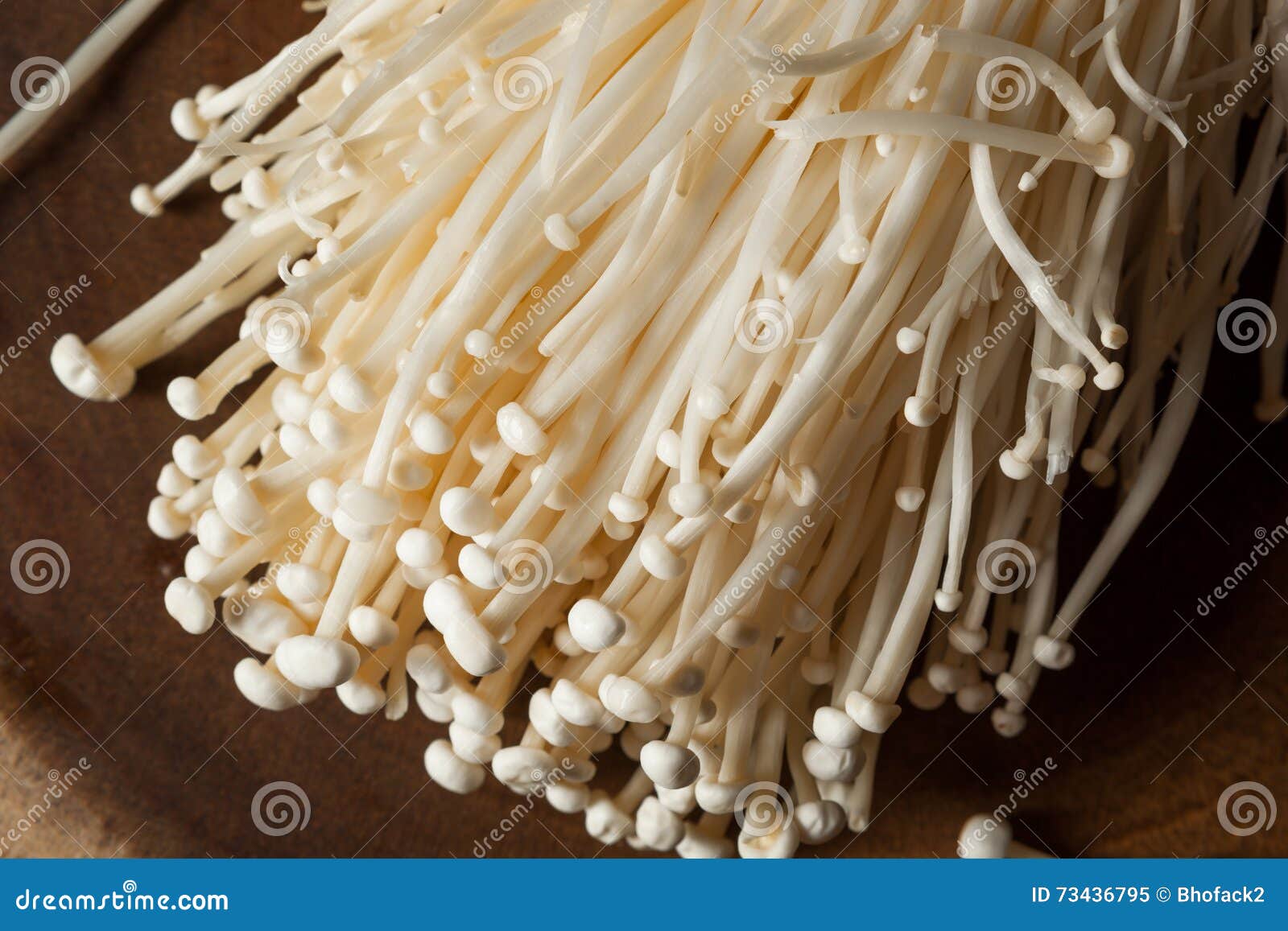 Raw Organic Enoki Mushrooms Stock Image Image of japanese, ethnic