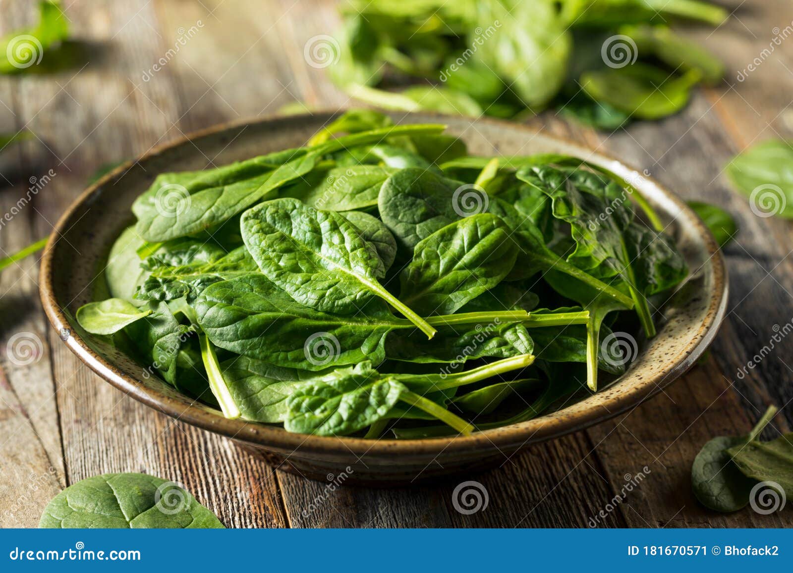 Raw Organic Fresh Baby Spinach Stock Image - Image of tasty, salad