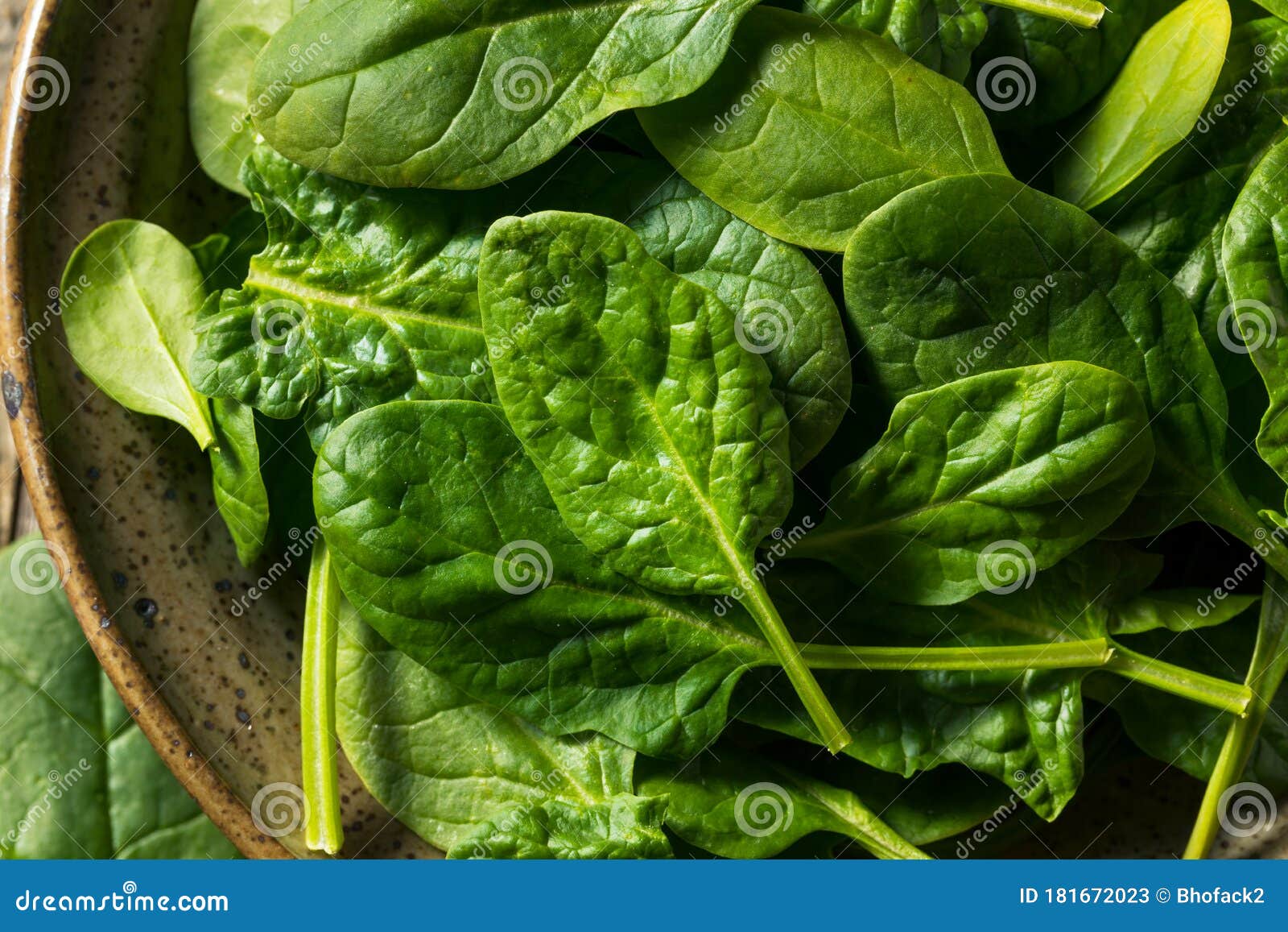 Raw Organic Fresh Baby Spinach Stock Image - Image of dish, organic