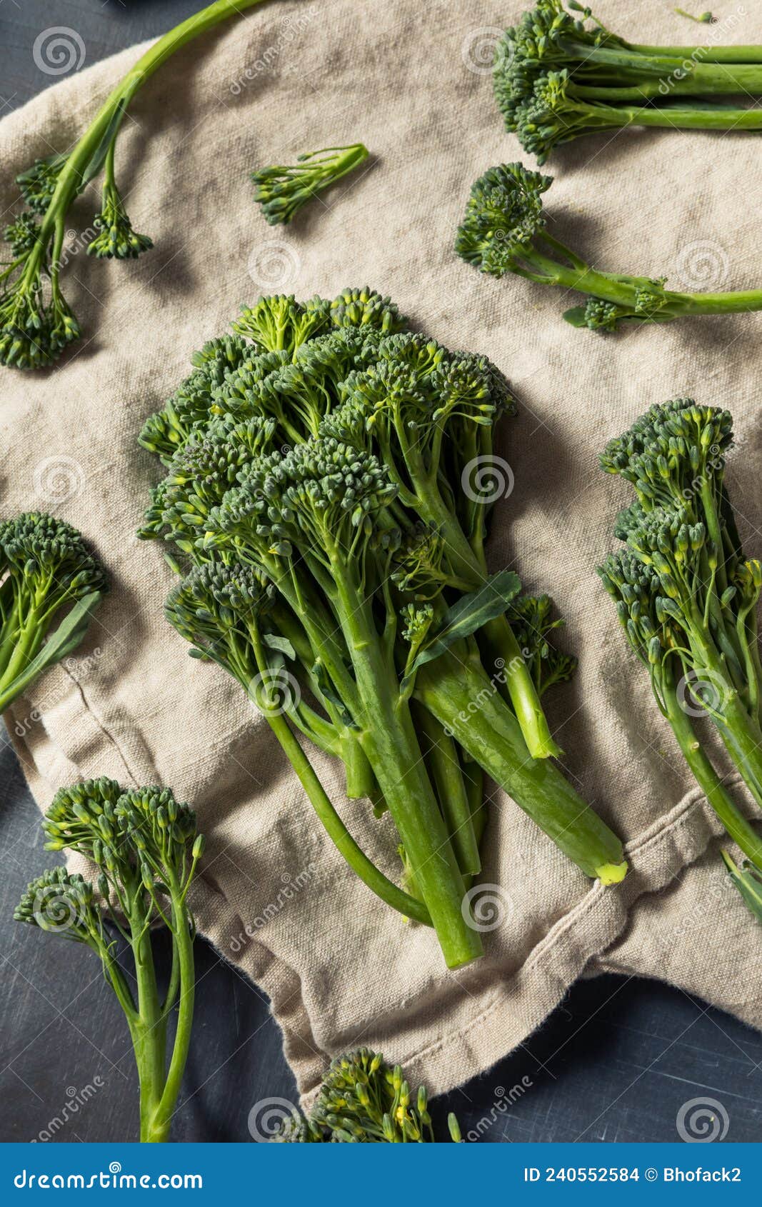 Raw Organic Fresh Broccolini Vegetable Stock Photo Image of branch
