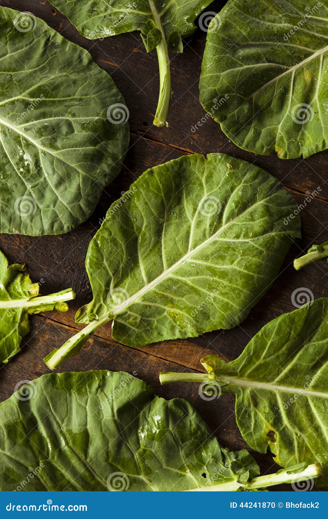Raw Organic Green Collard Greens Stock Photo Image of agriculture