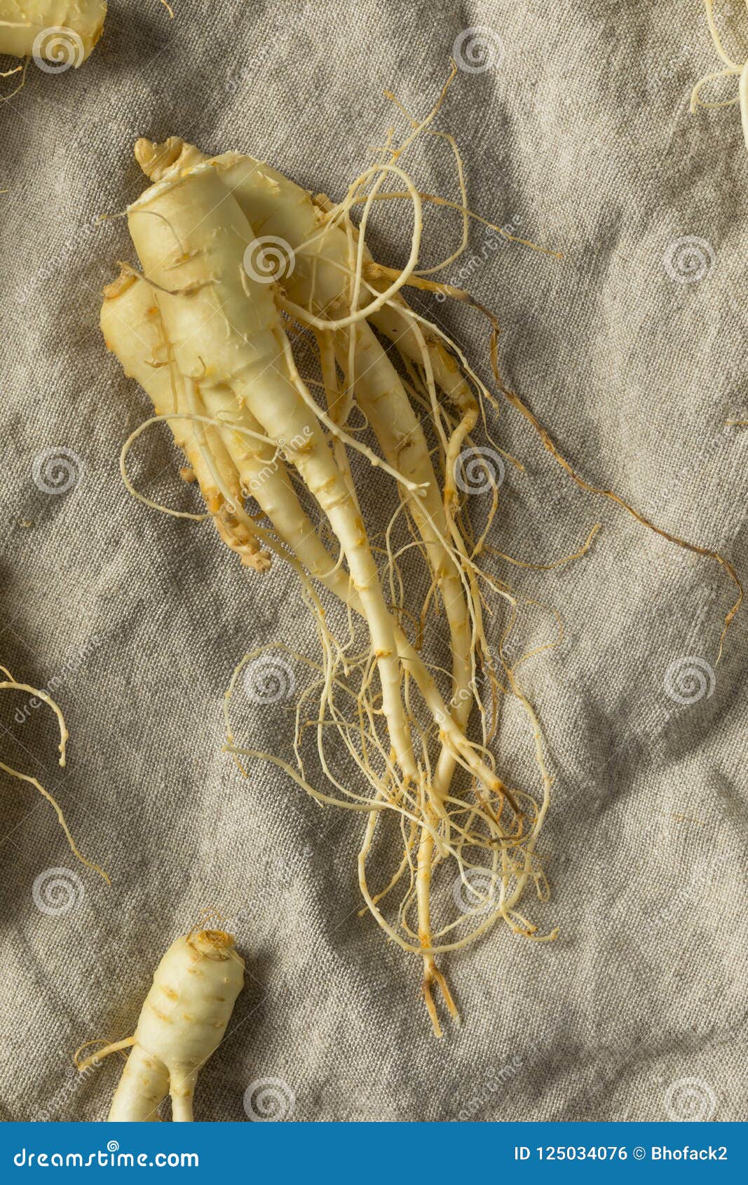 Raw Organic Healthy Ginseng Root Stock Photo Image of ingredient